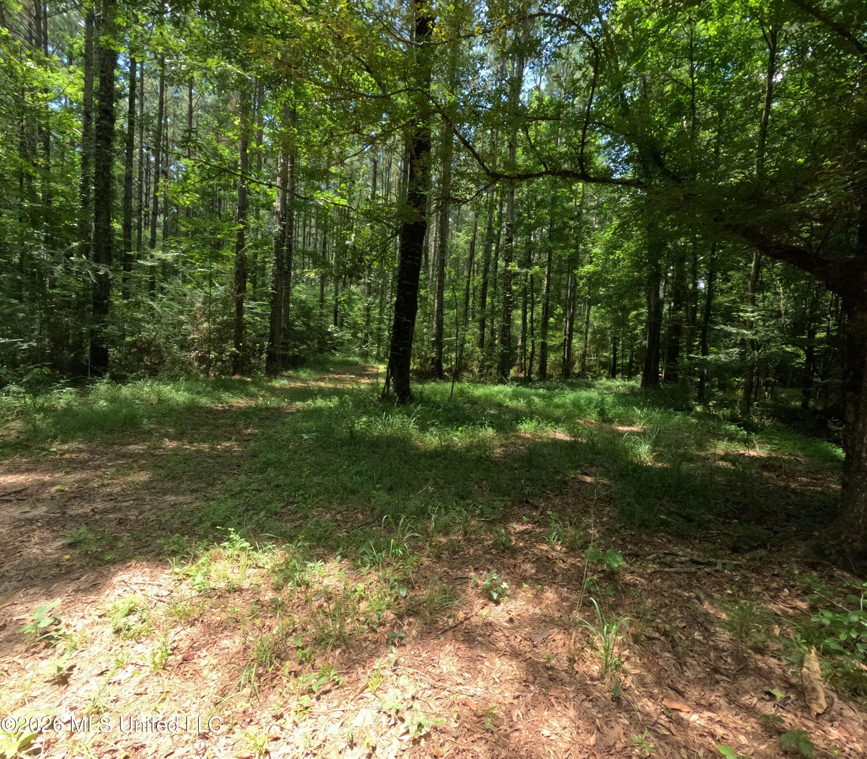 Ms-28 Property Photo 65
