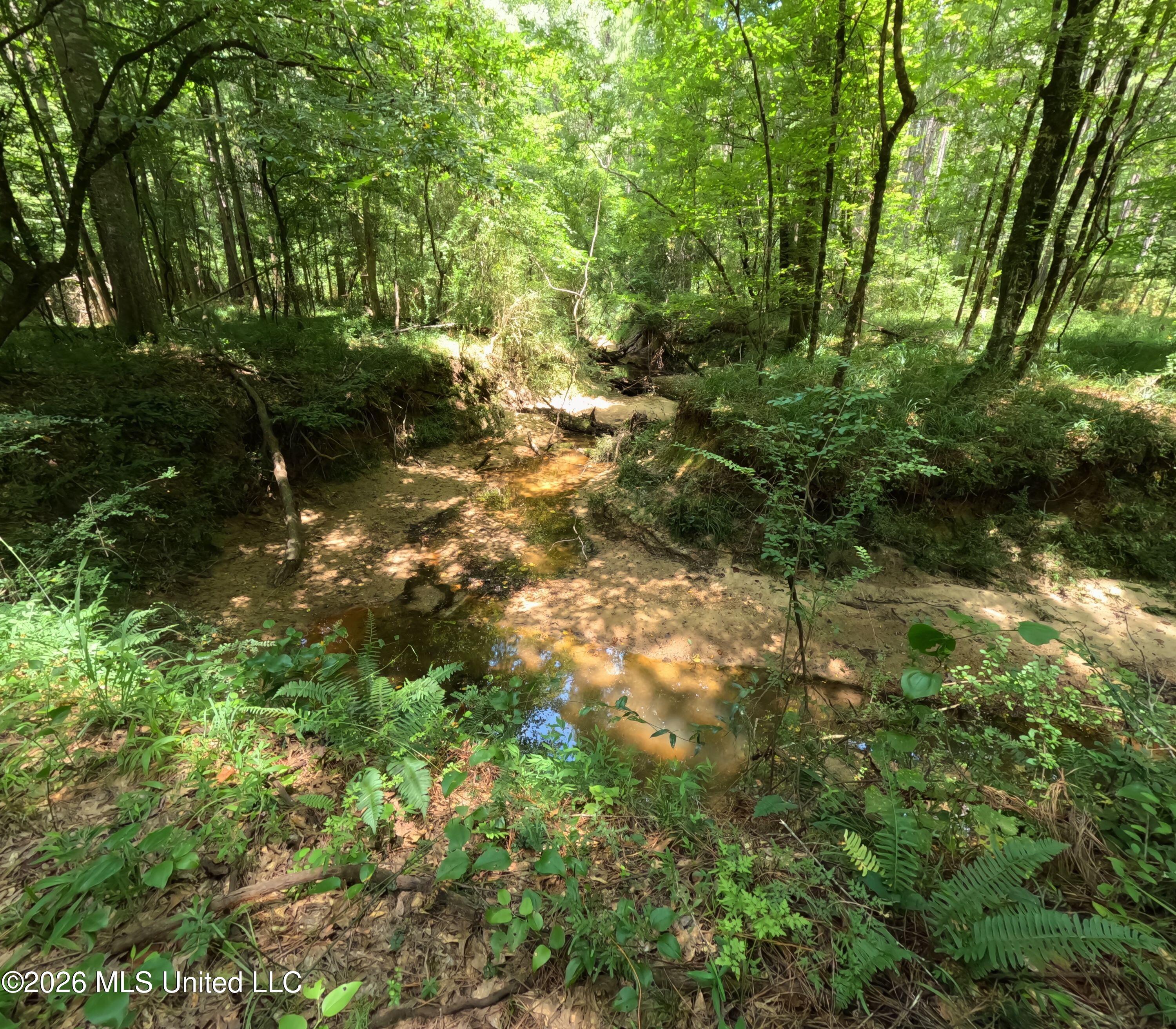 Ms-28 Property Photo 66