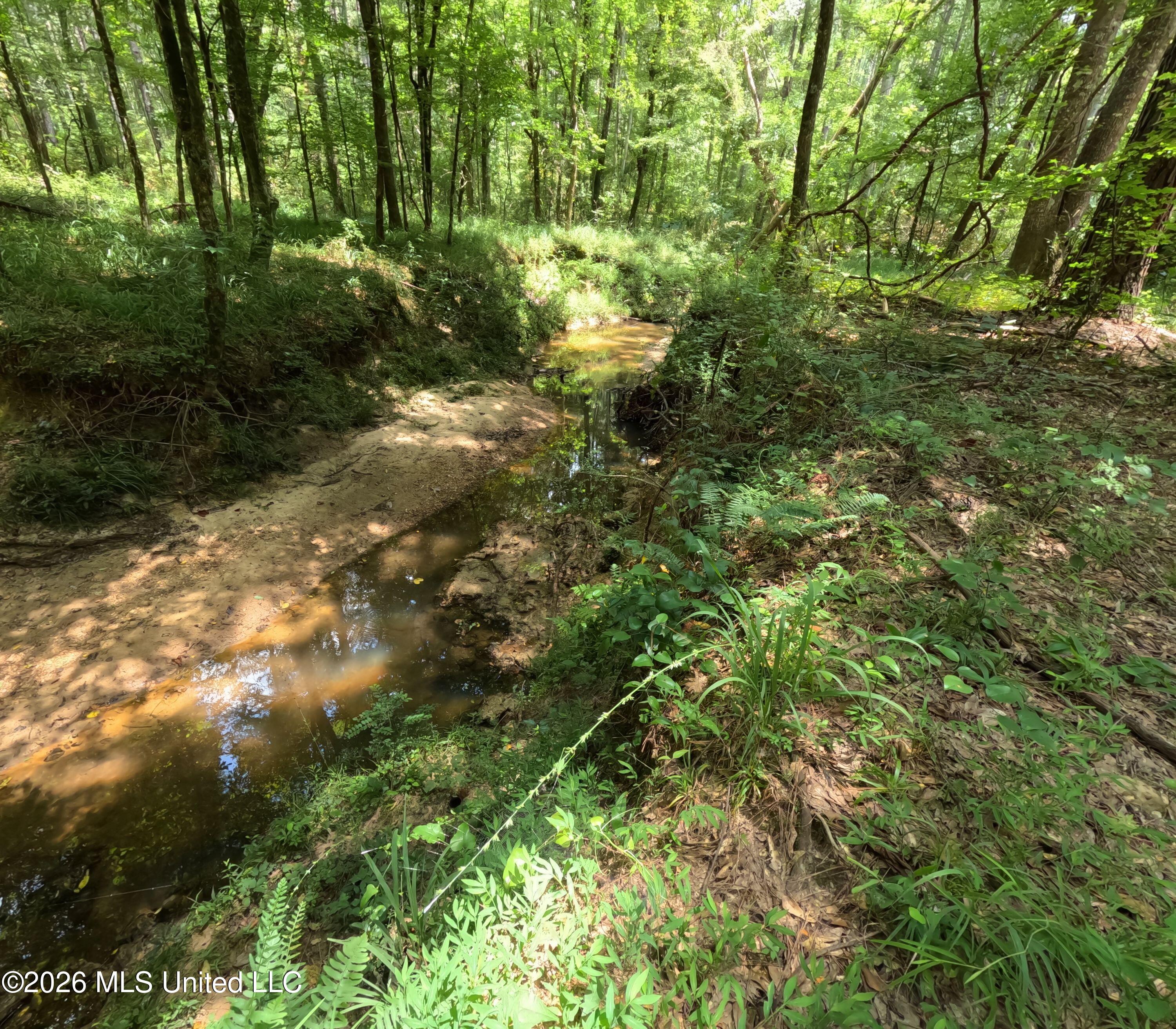 Ms-28 Property Photo 68