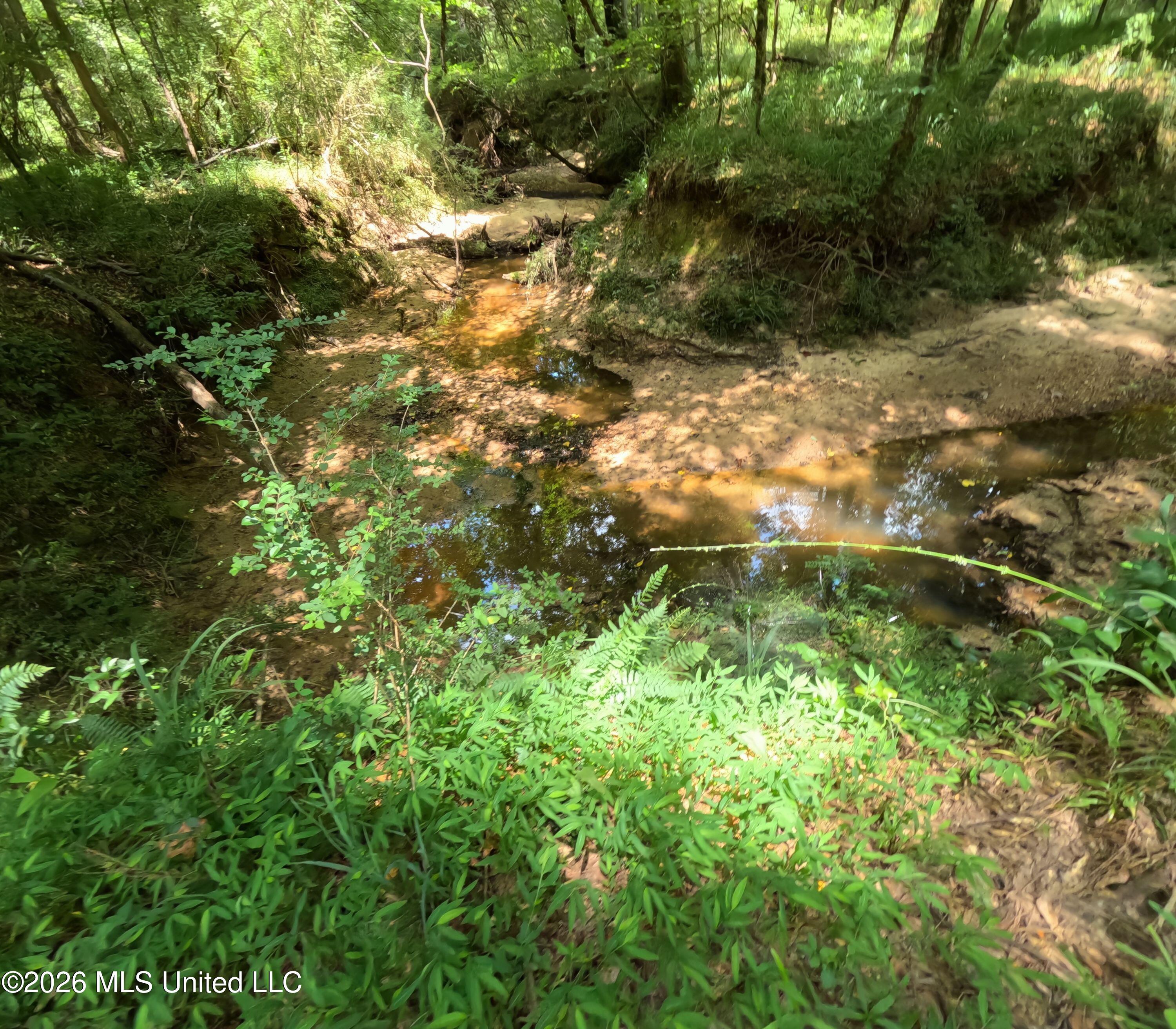 Ms-28 Property Photo 69