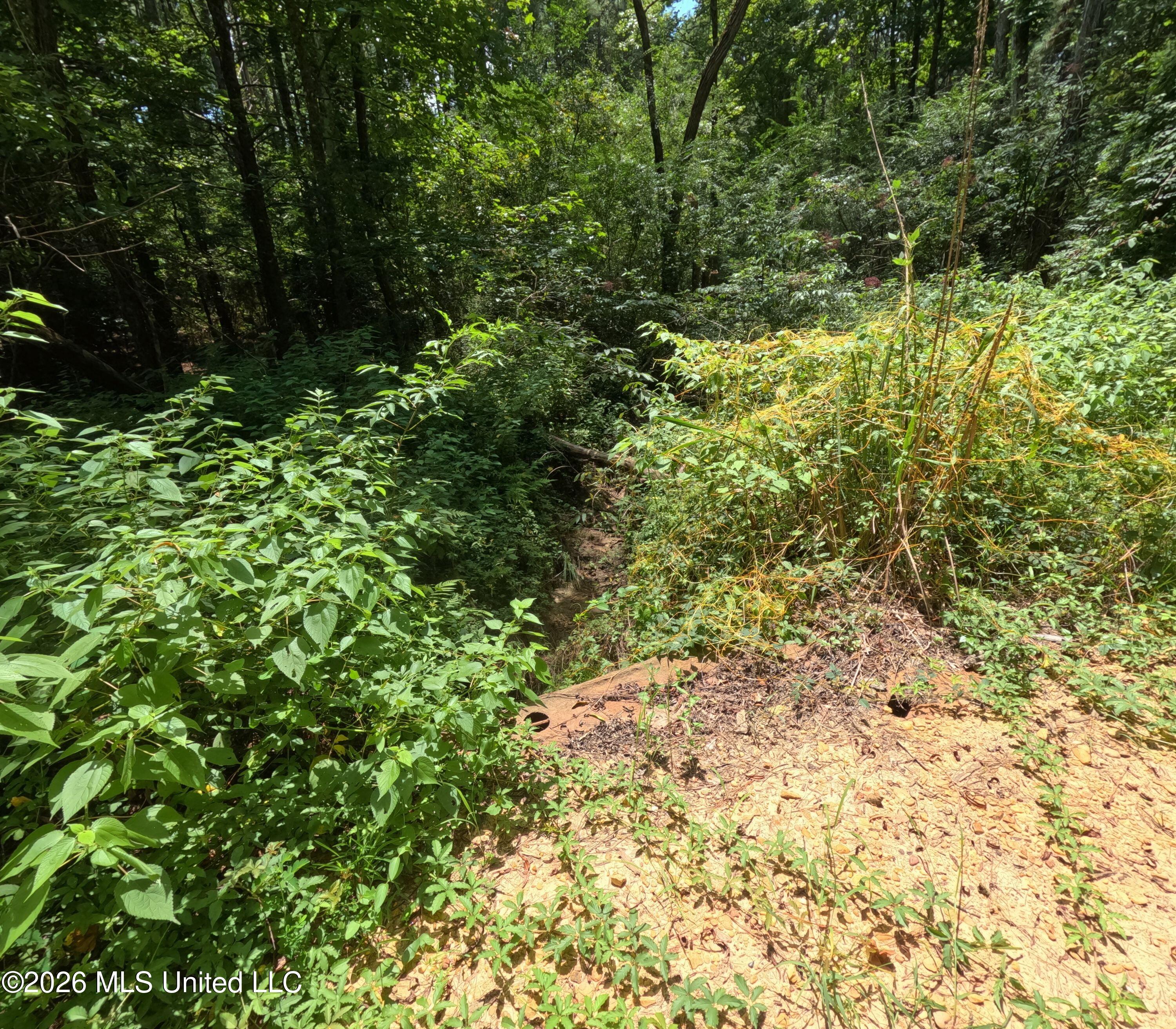 Ms-28 Property Photo 89