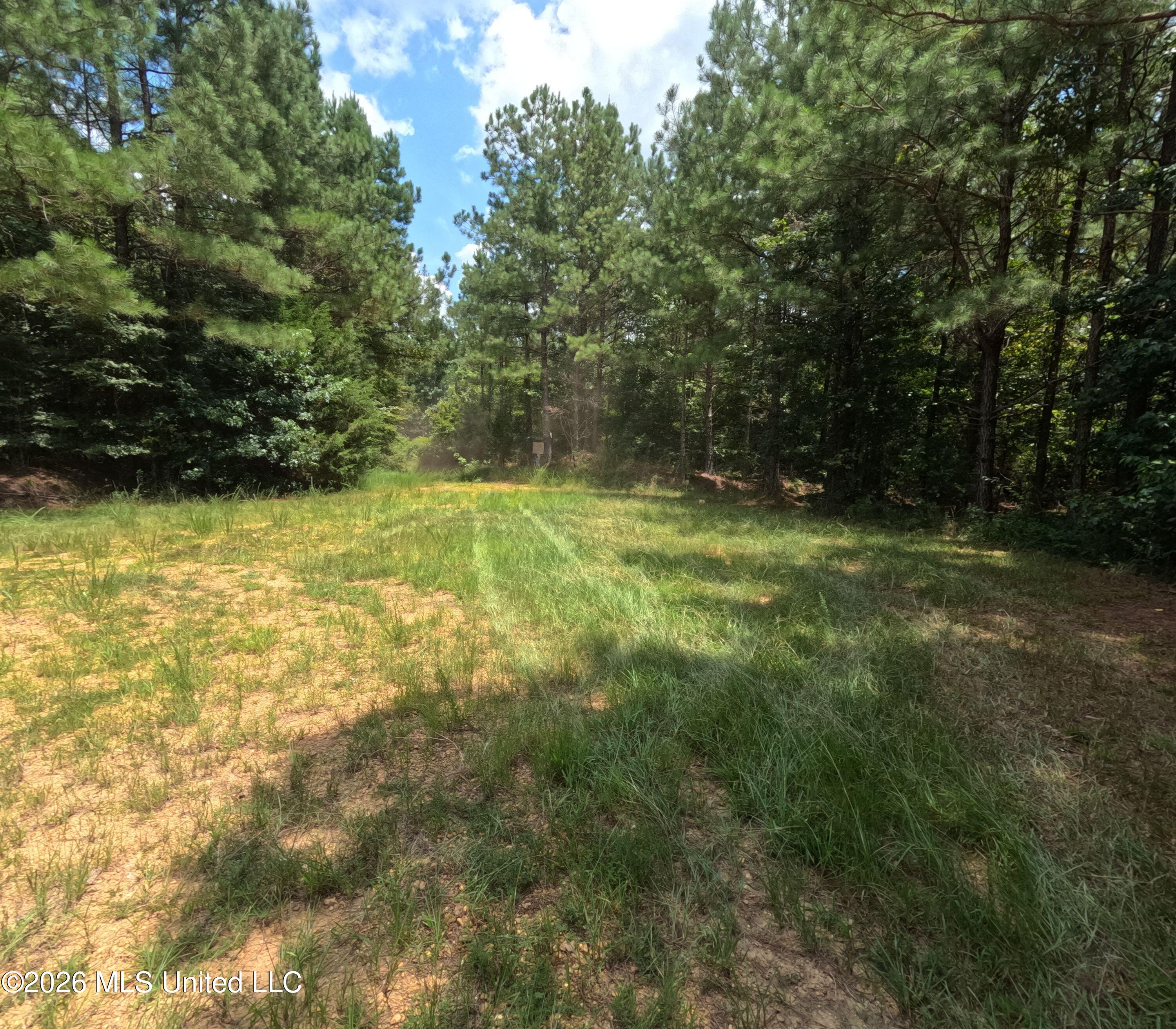 Ms-28 Property Photo 98