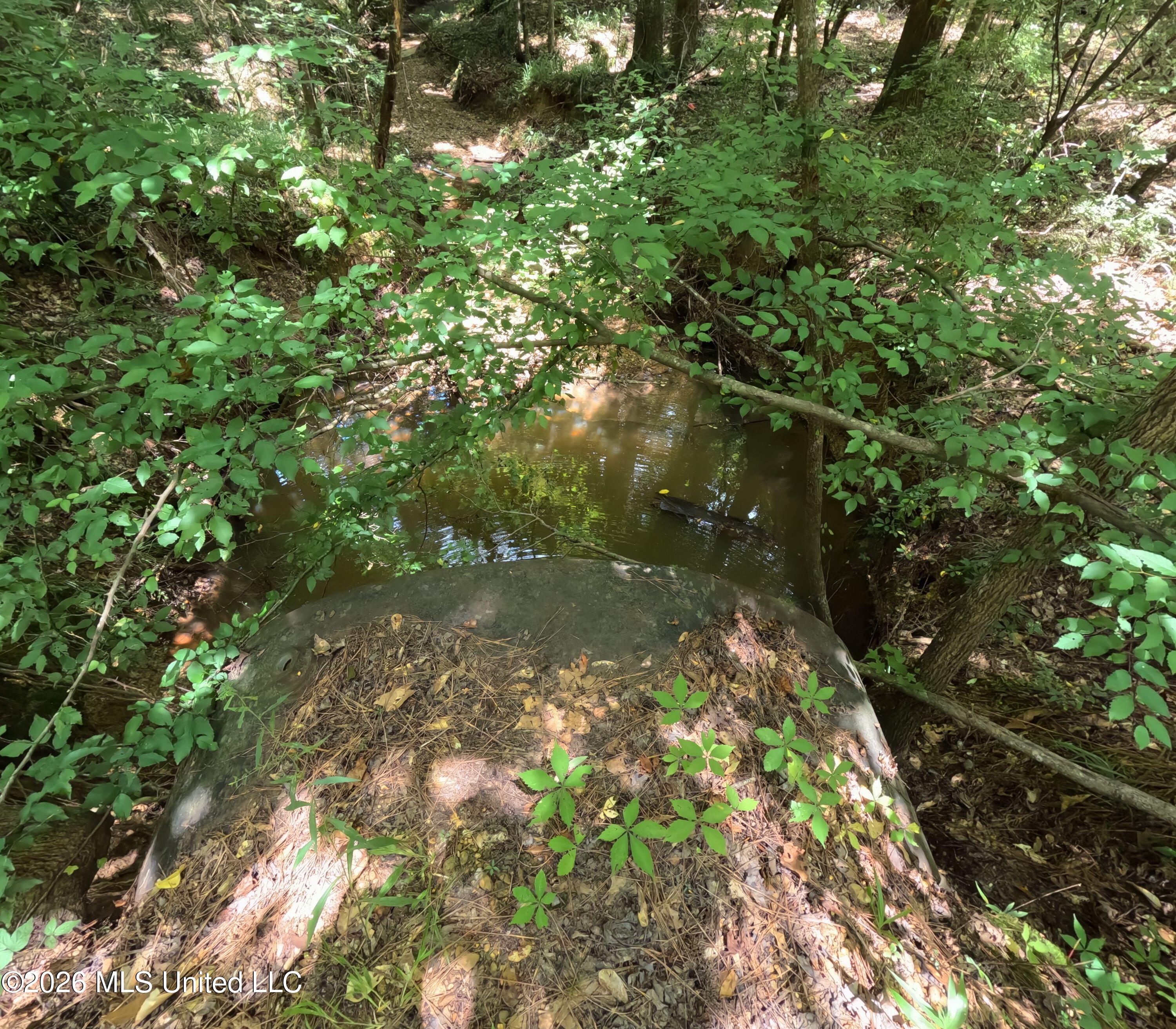Ms-28 Property Photo 100