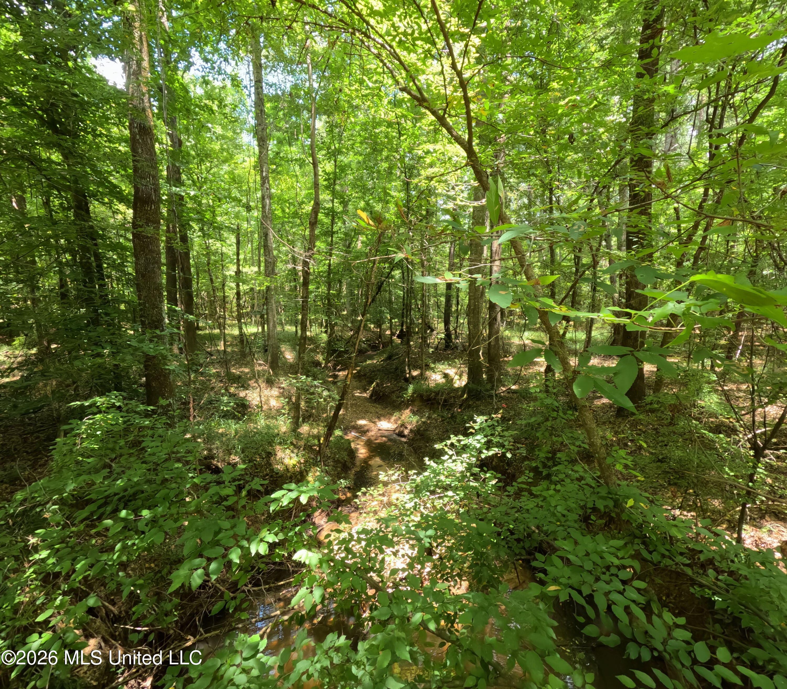 Ms-28 Property Photo 101