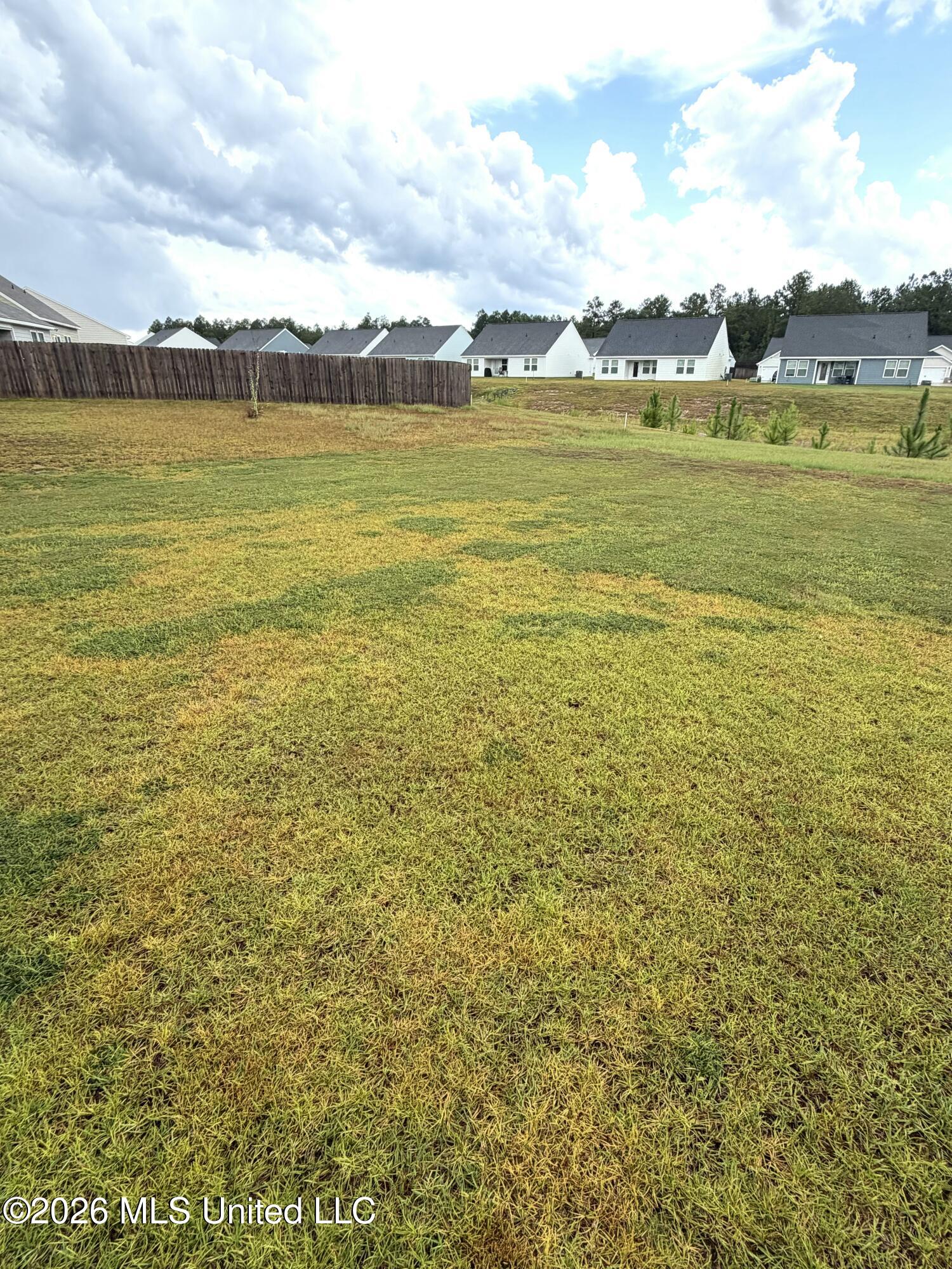 14208 Sanctuary Trails Drive Property Photo 12