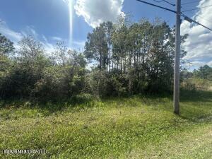 00 Pine Ridge Drive Property Photo 3