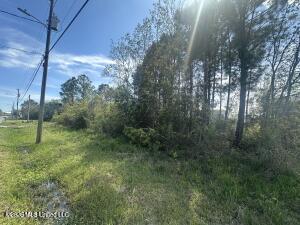 00 Pine Ridge Drive Property Photo 4