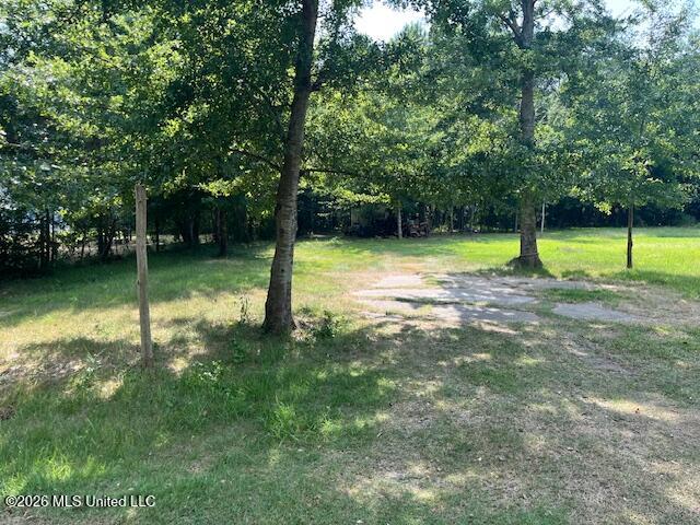 5015 Lepoma Avenue Property Photo 2