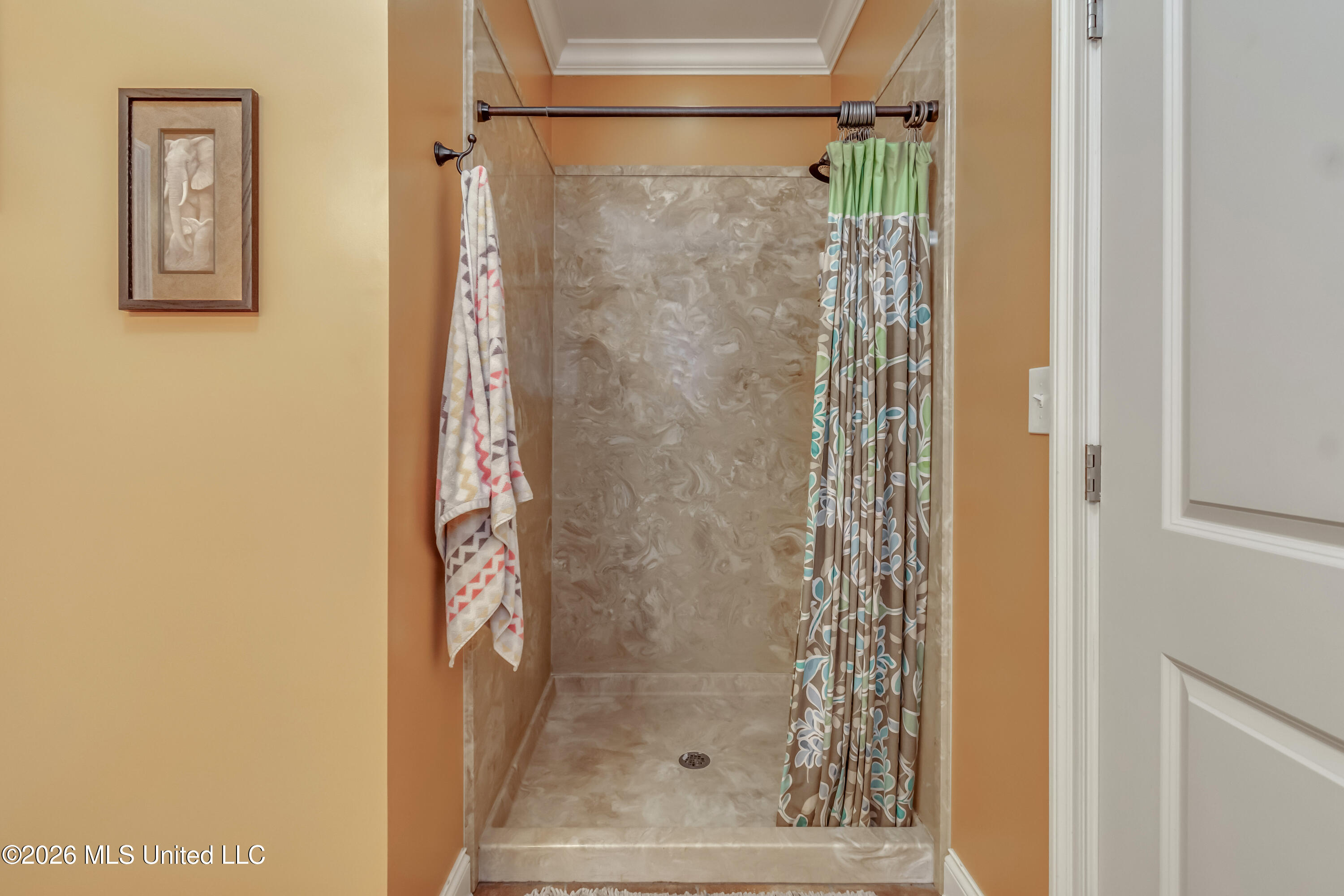 717 Thomasville Road Property Photo 65