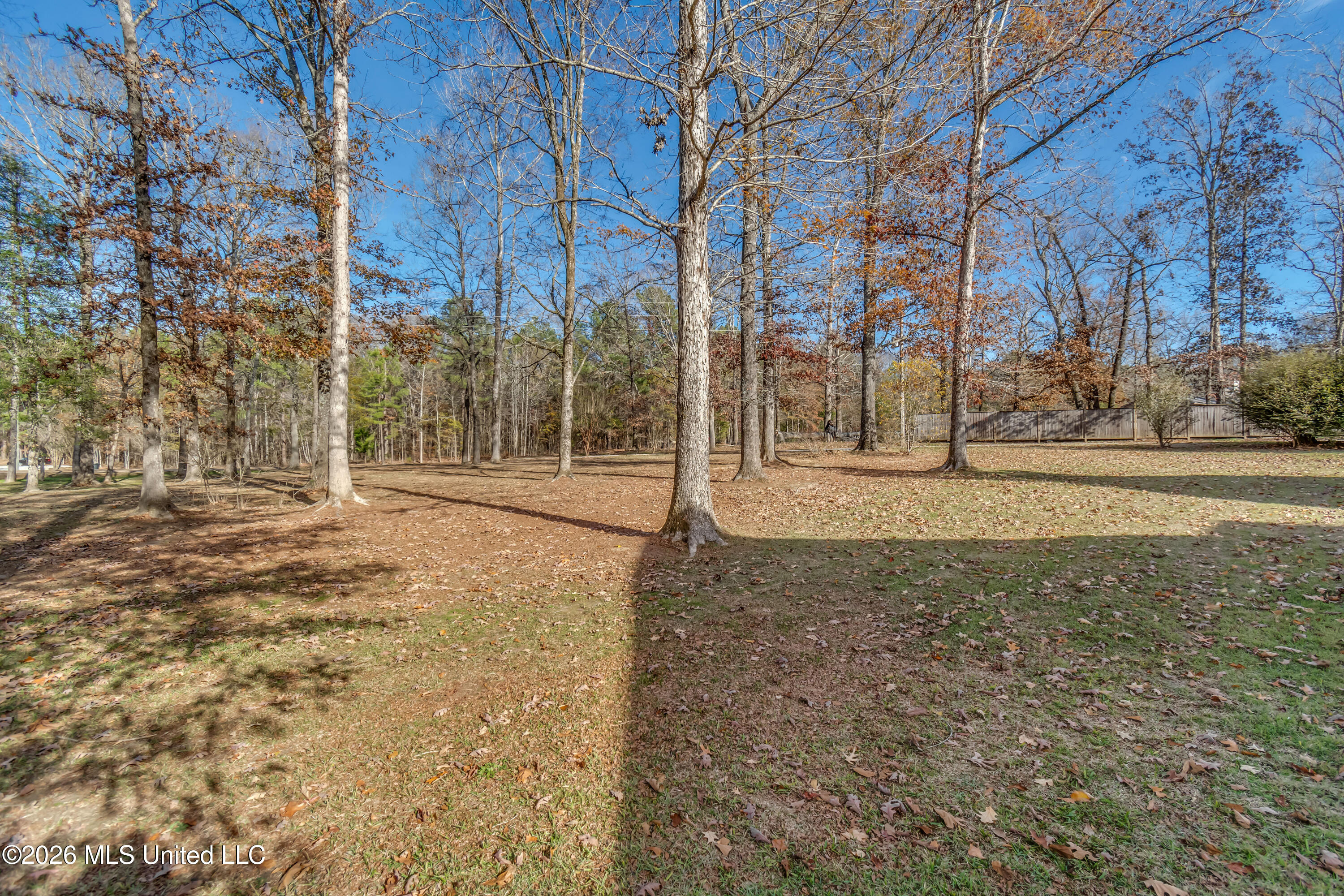 717 Thomasville Road Property Photo 87