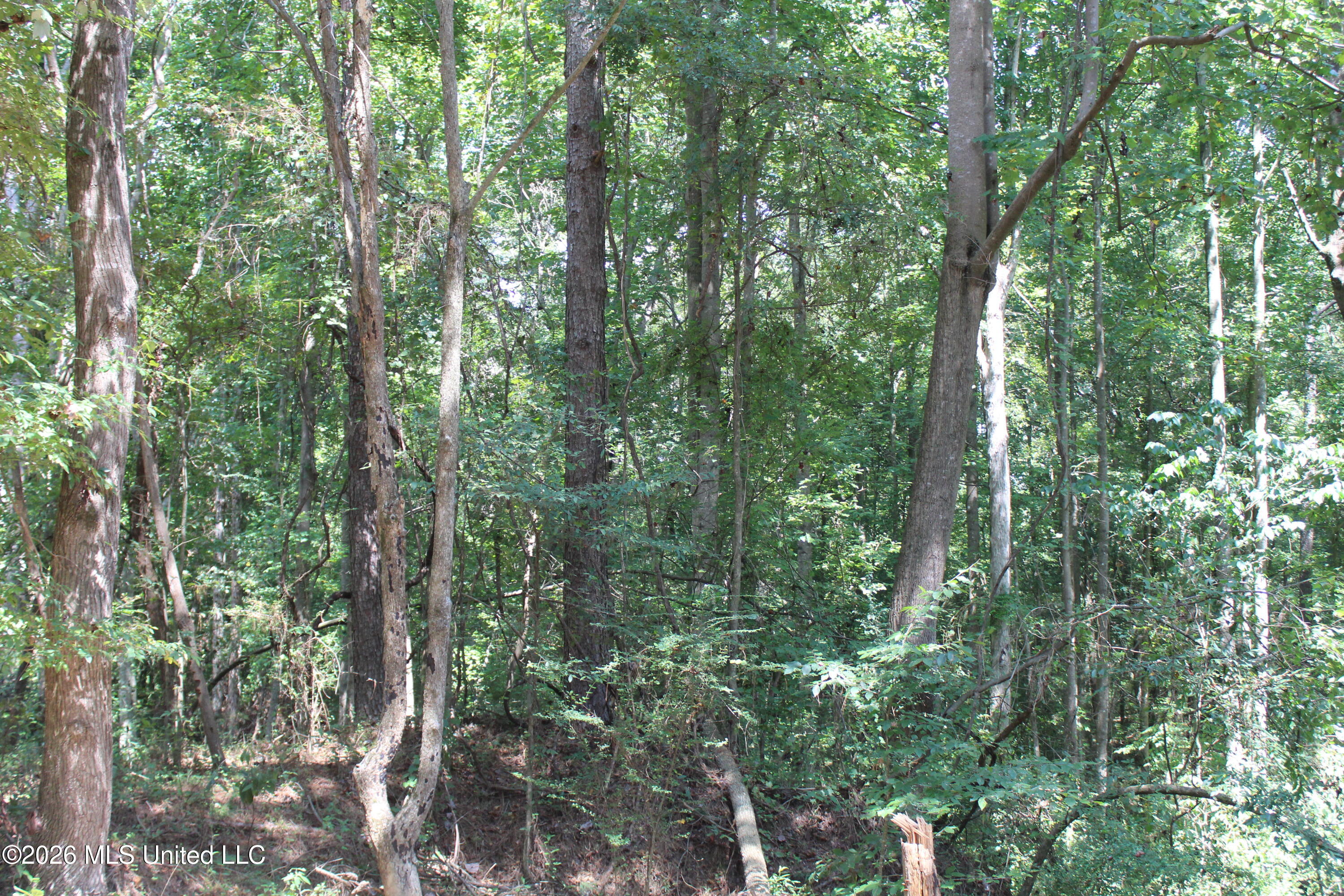 Rosebud School Road Property Photo 2