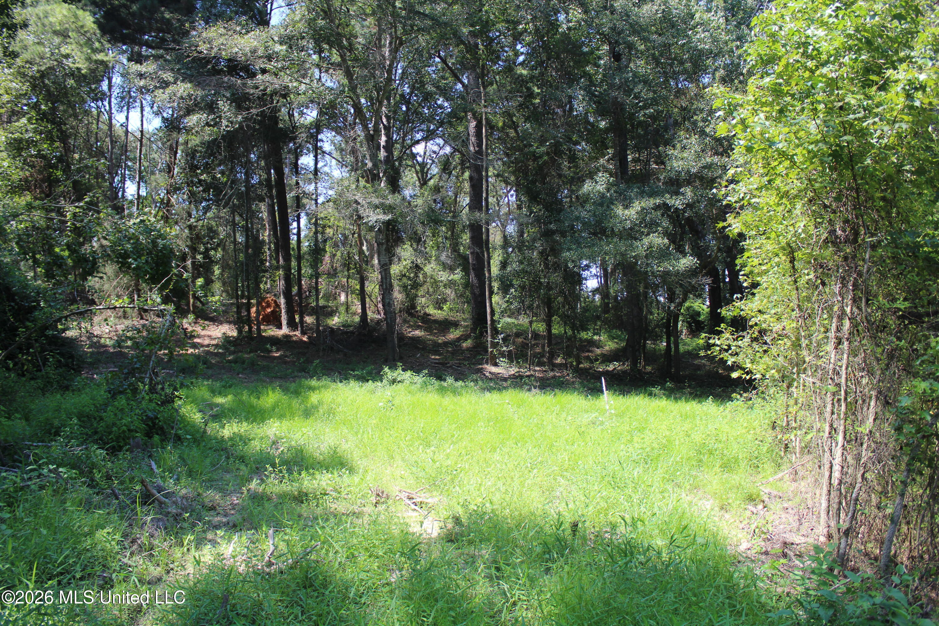 Rosebud School Road Property Photo 6