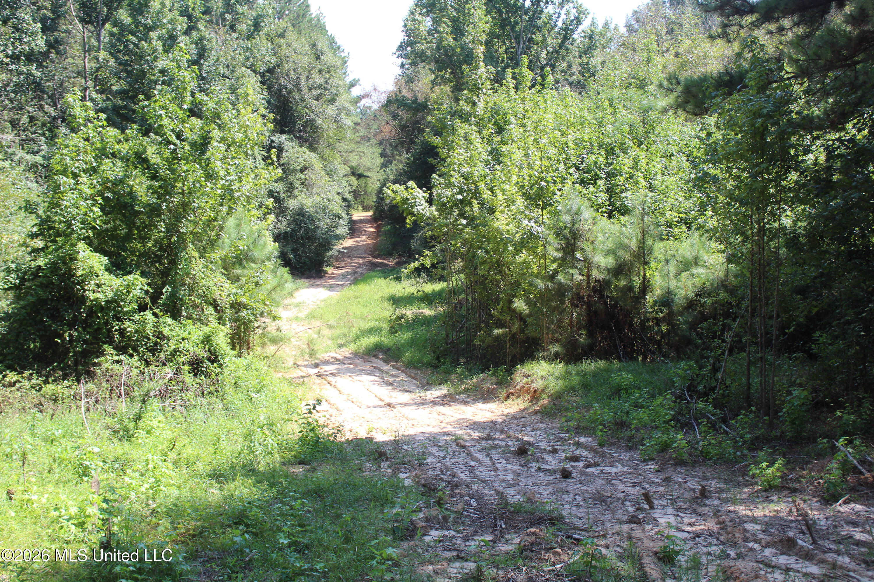Rosebud School Road Property Photo 9