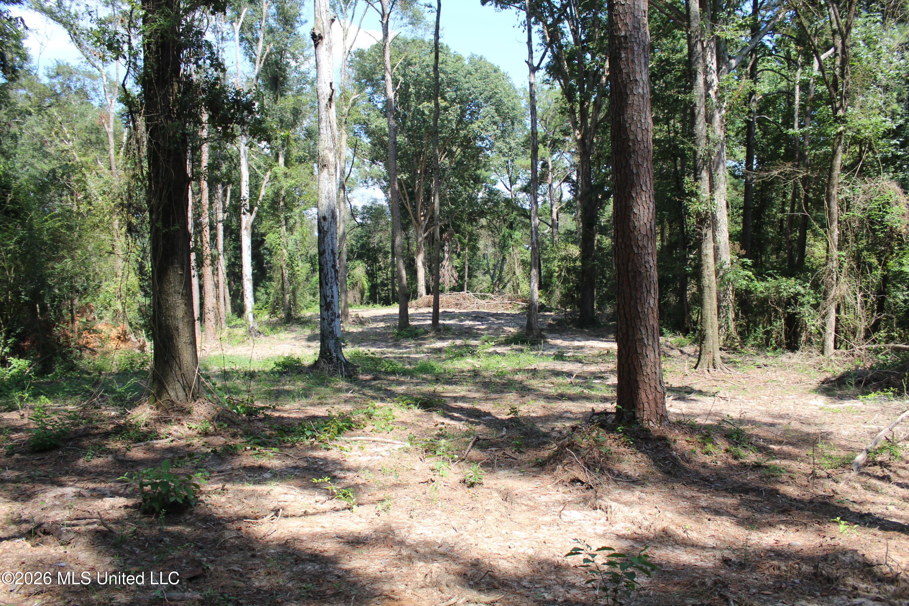 Rosebud School Road Property Photo 10