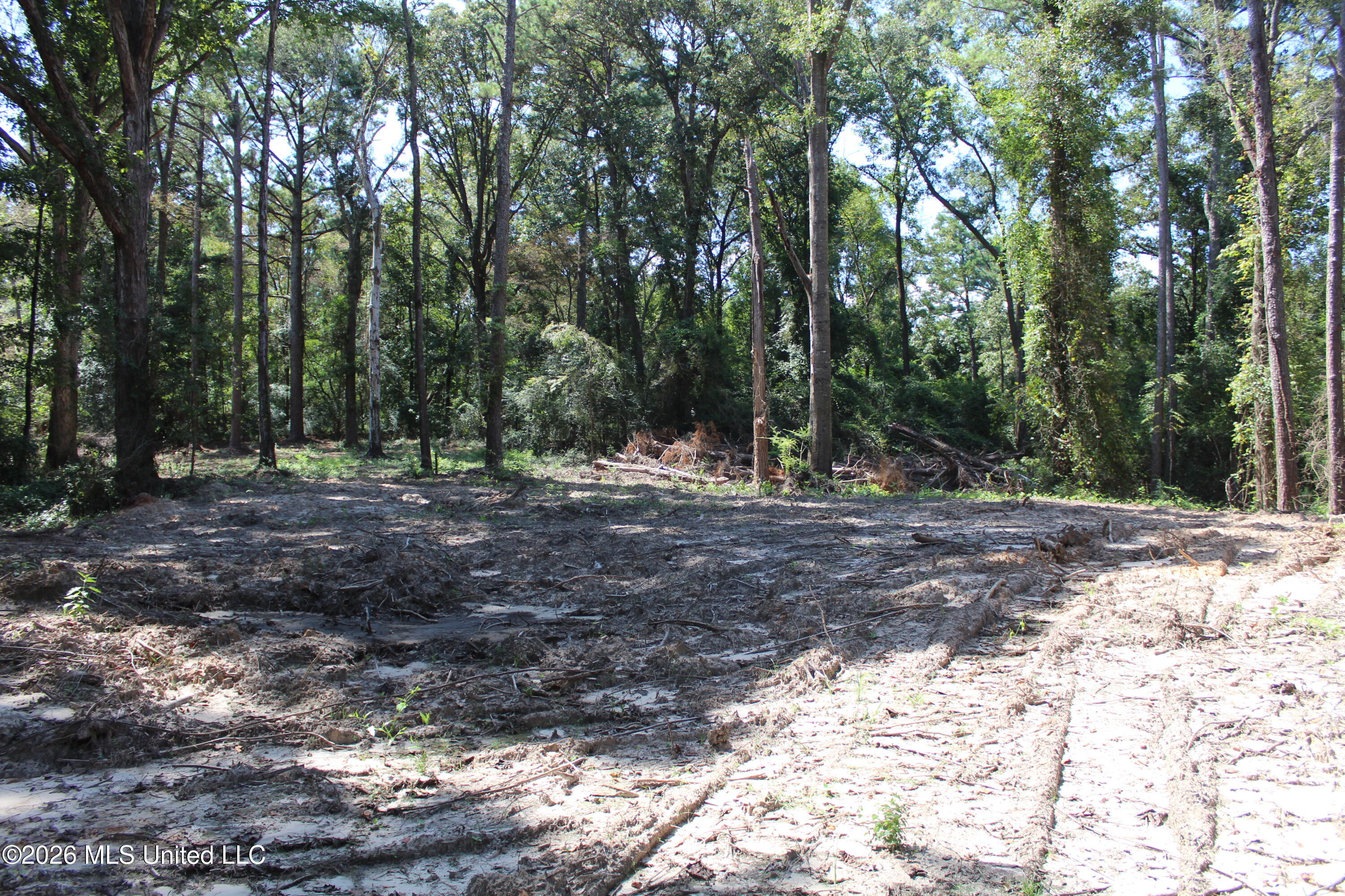 Rosebud School Road Property Photo 11