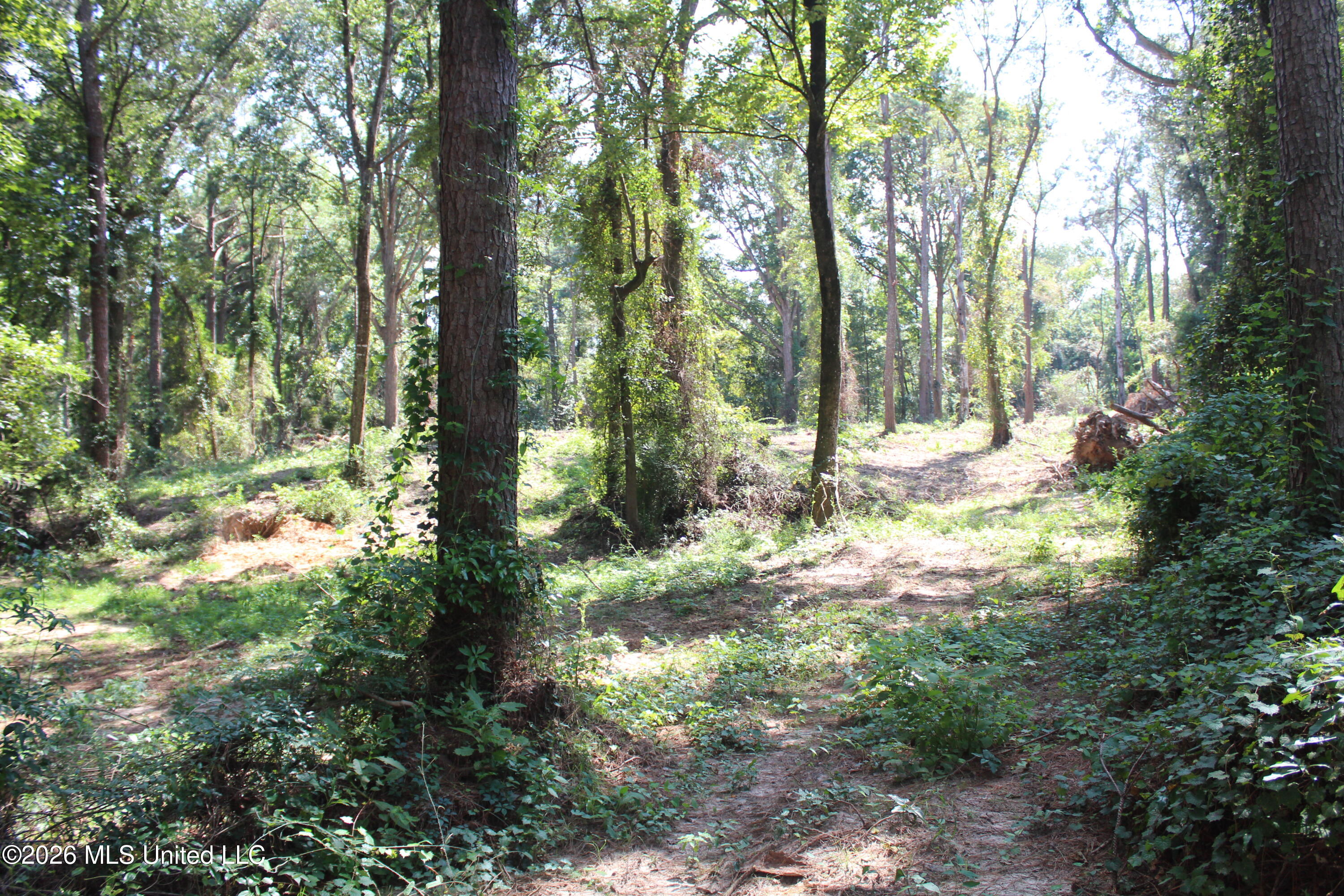 Rosebud School Road Property Photo 12