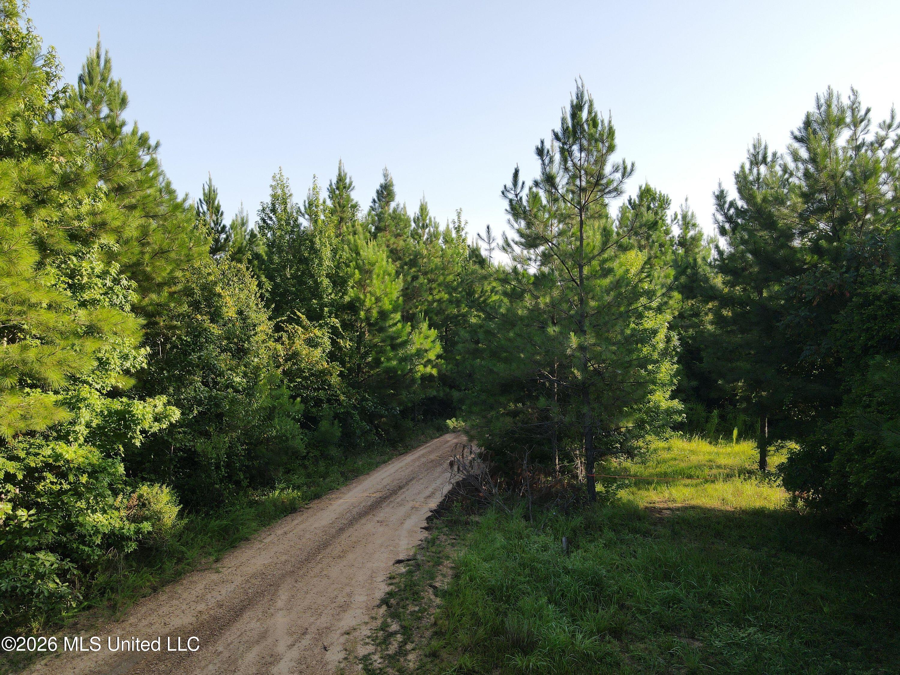 Cupit Road Property Photo 2
