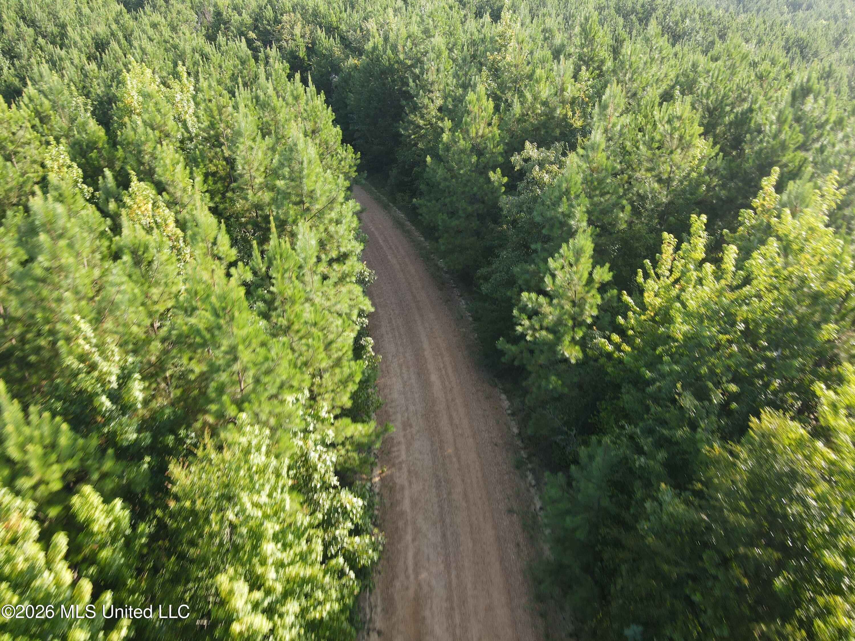 Cupit Road Property Photo 27