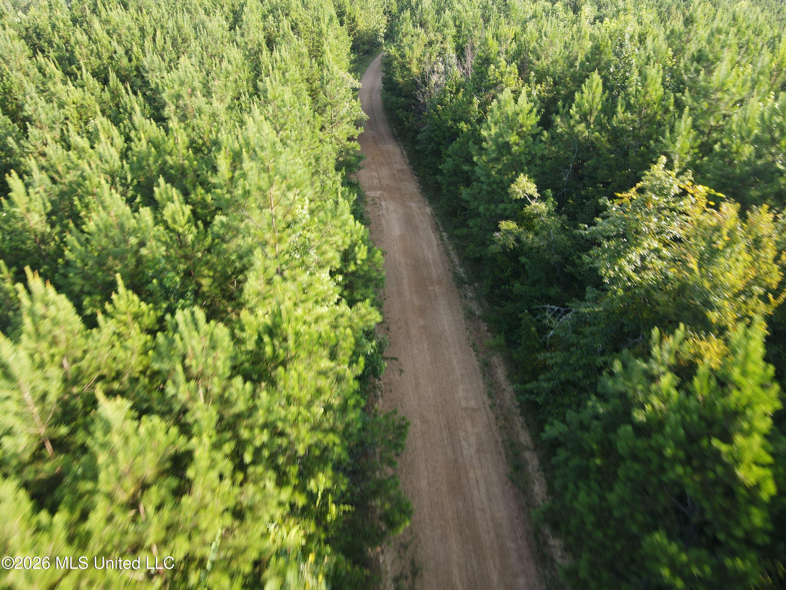 Cupit Road Property Photo 28