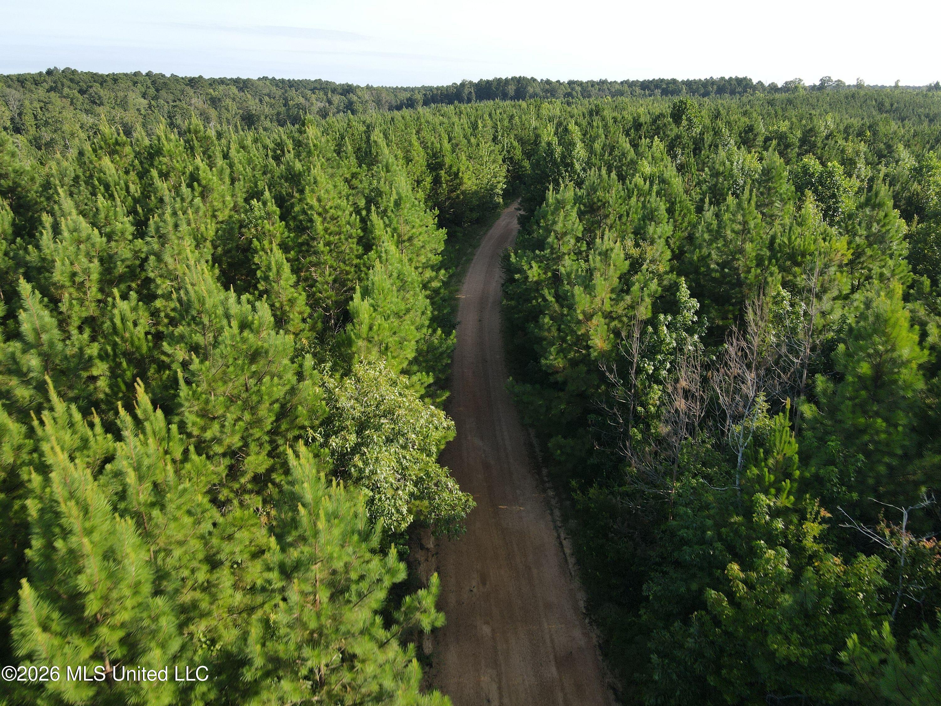 Cupit Road Property Photo 29