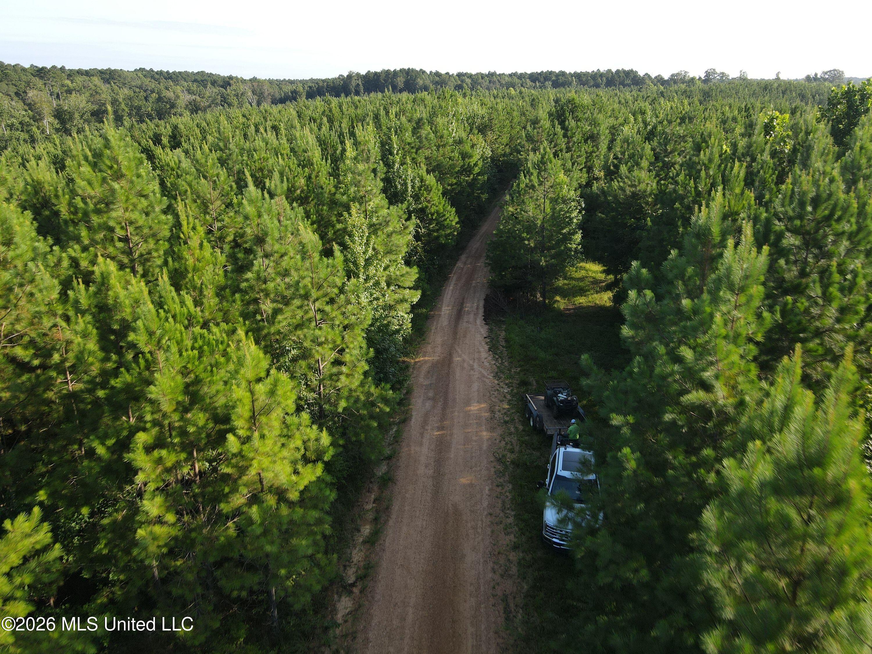 Cupit Road Property Photo 30