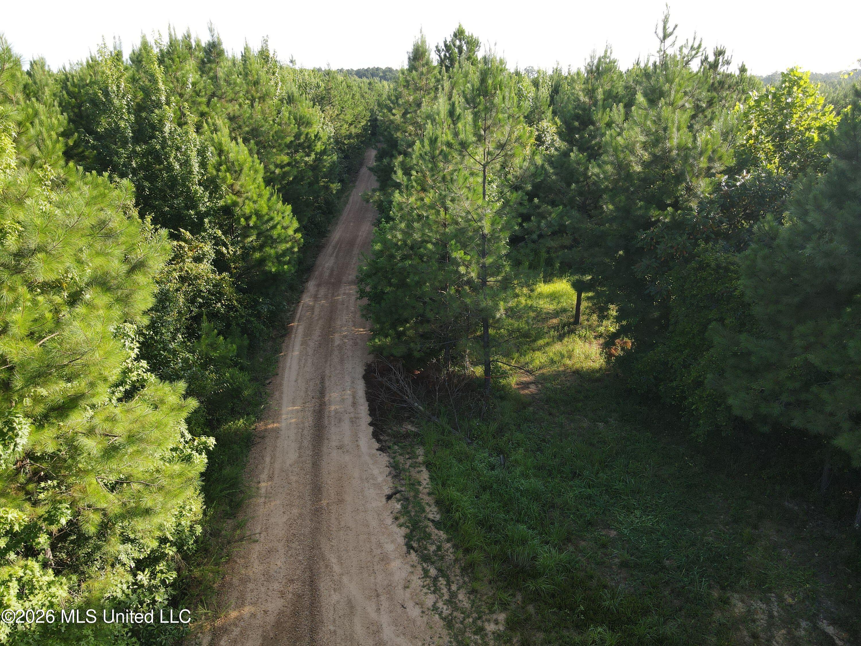Cupit Road Property Photo 31