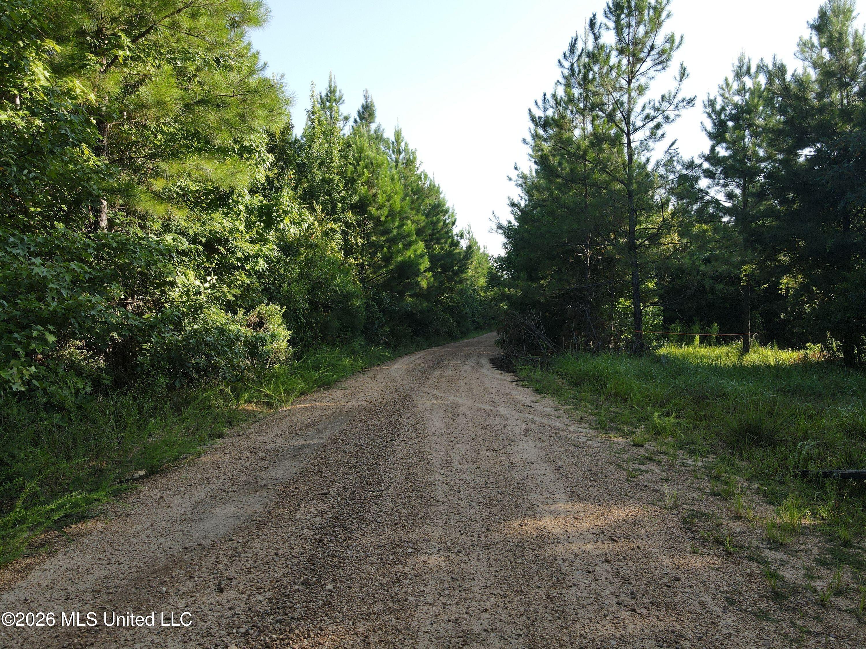 Cupit Road Property Photo 32