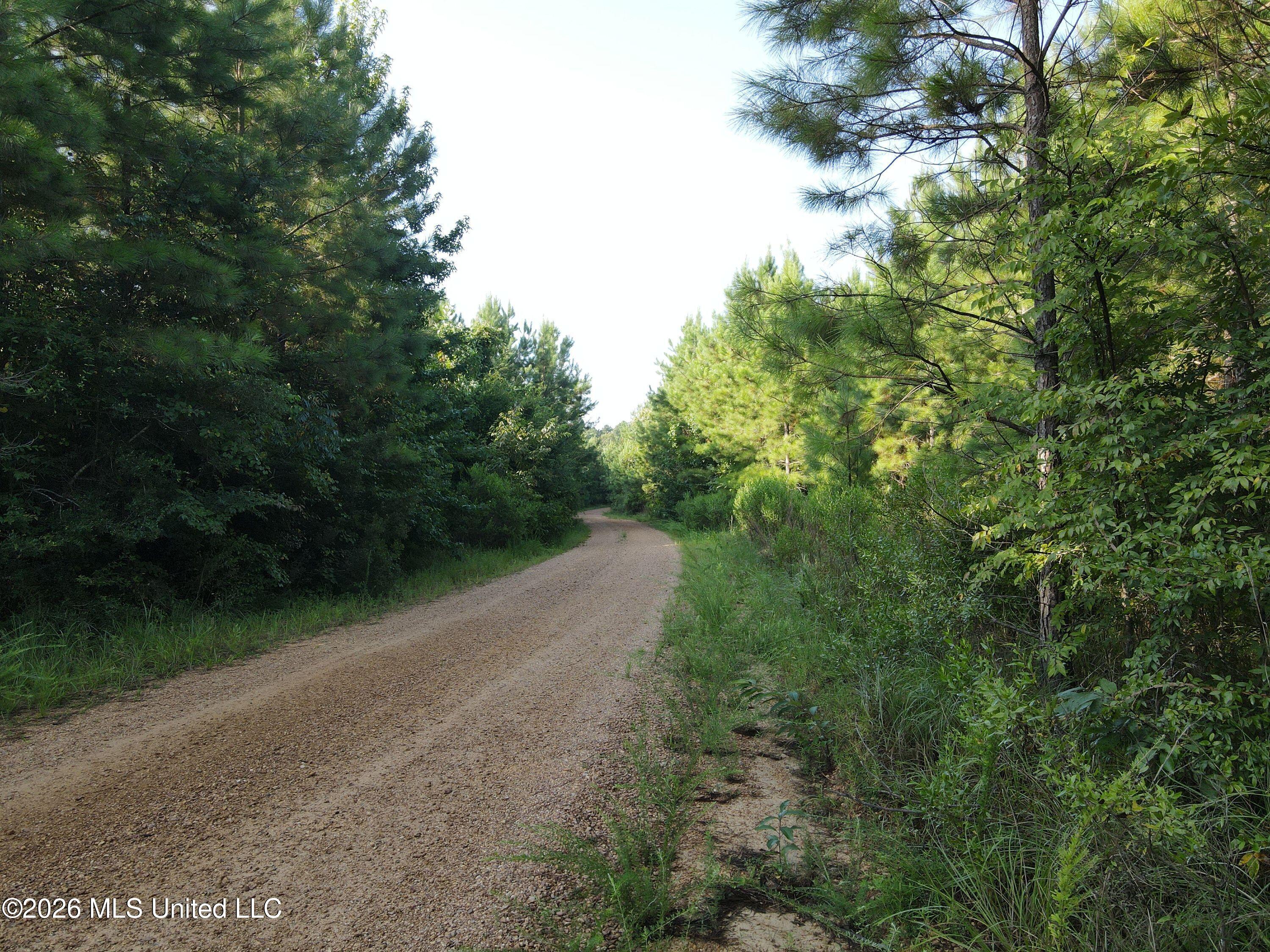 Cupit Road Property Photo 33