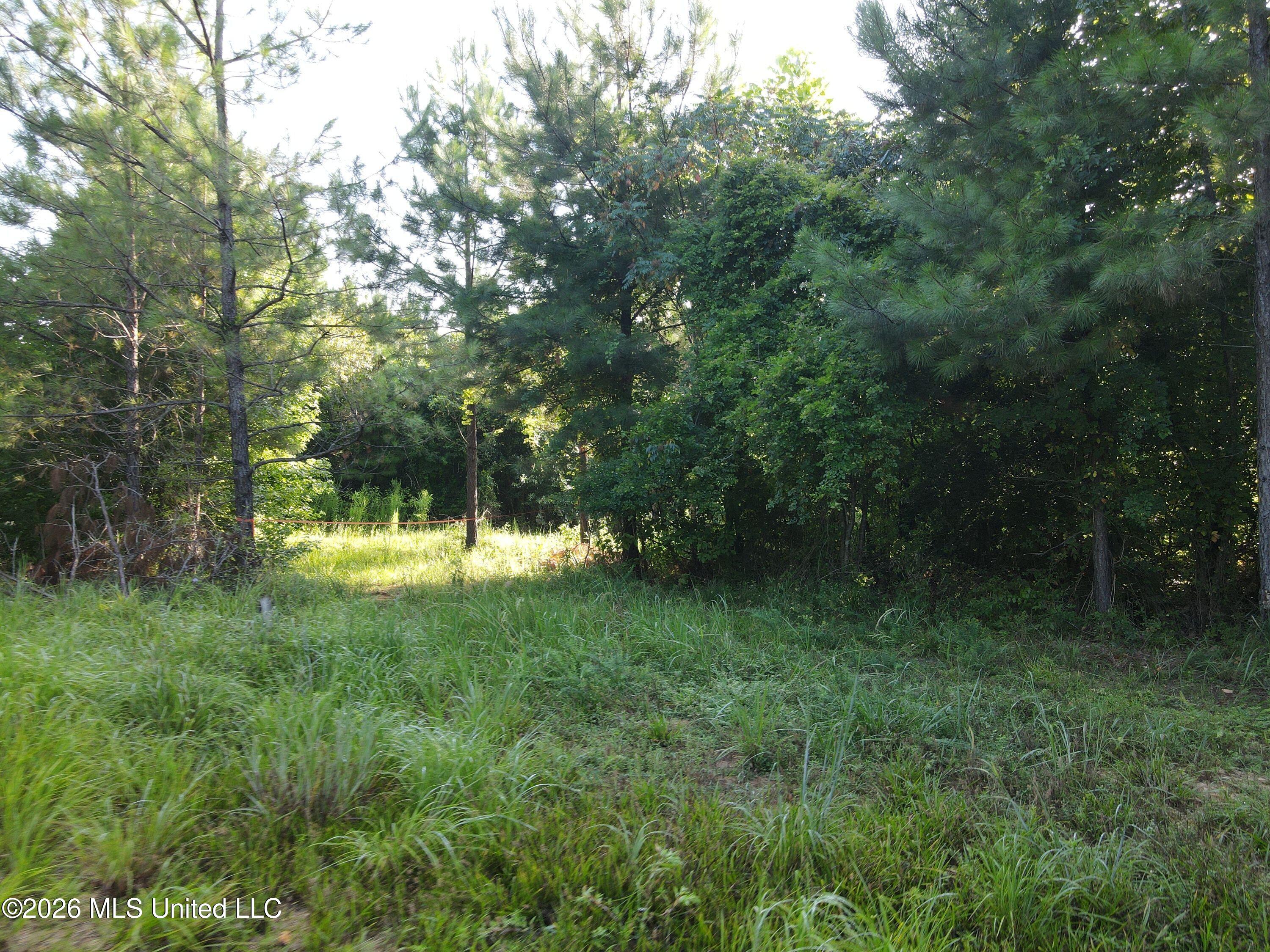 Cupit Road Property Photo 34