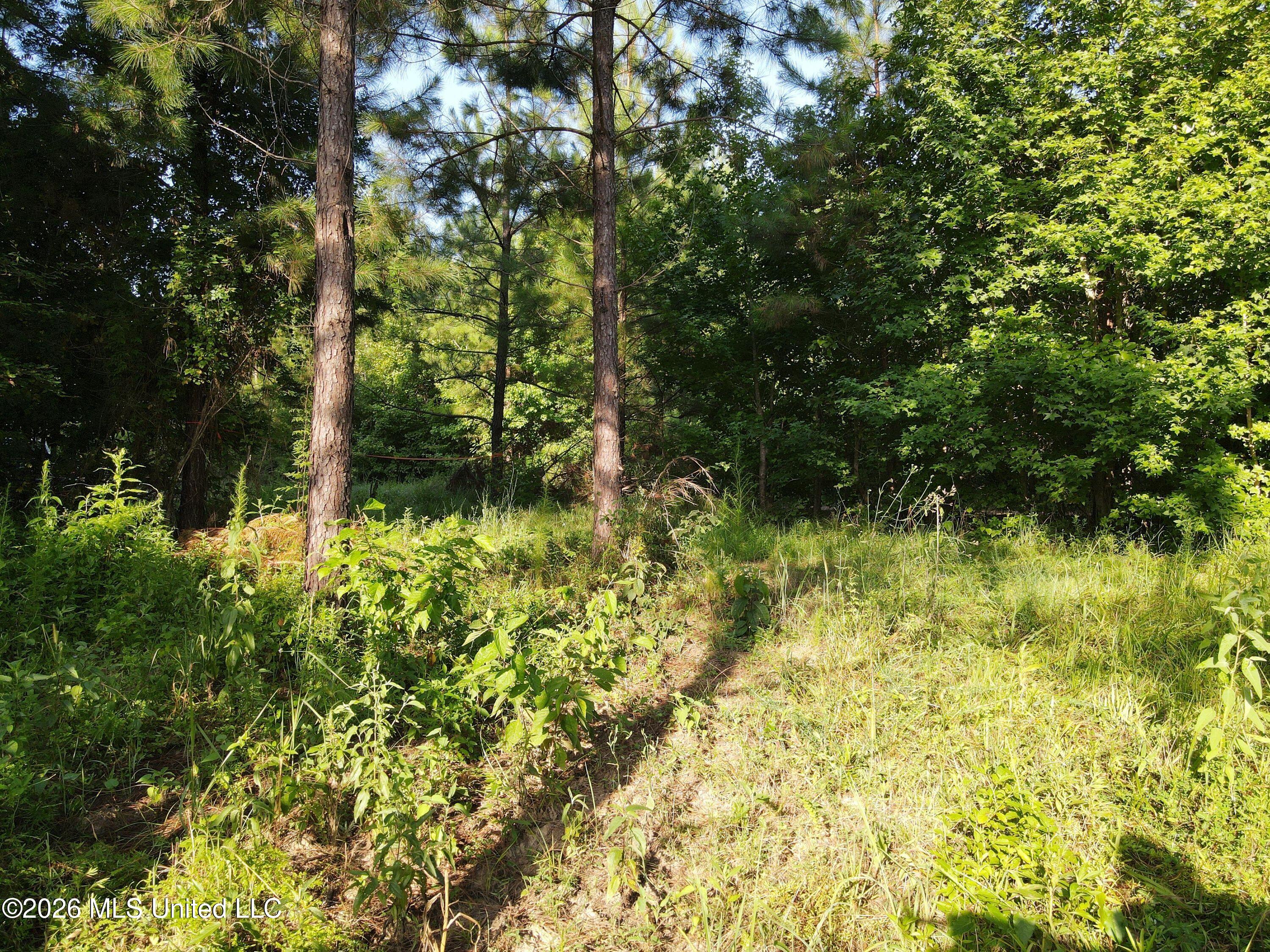 Cupit Road Property Photo 36