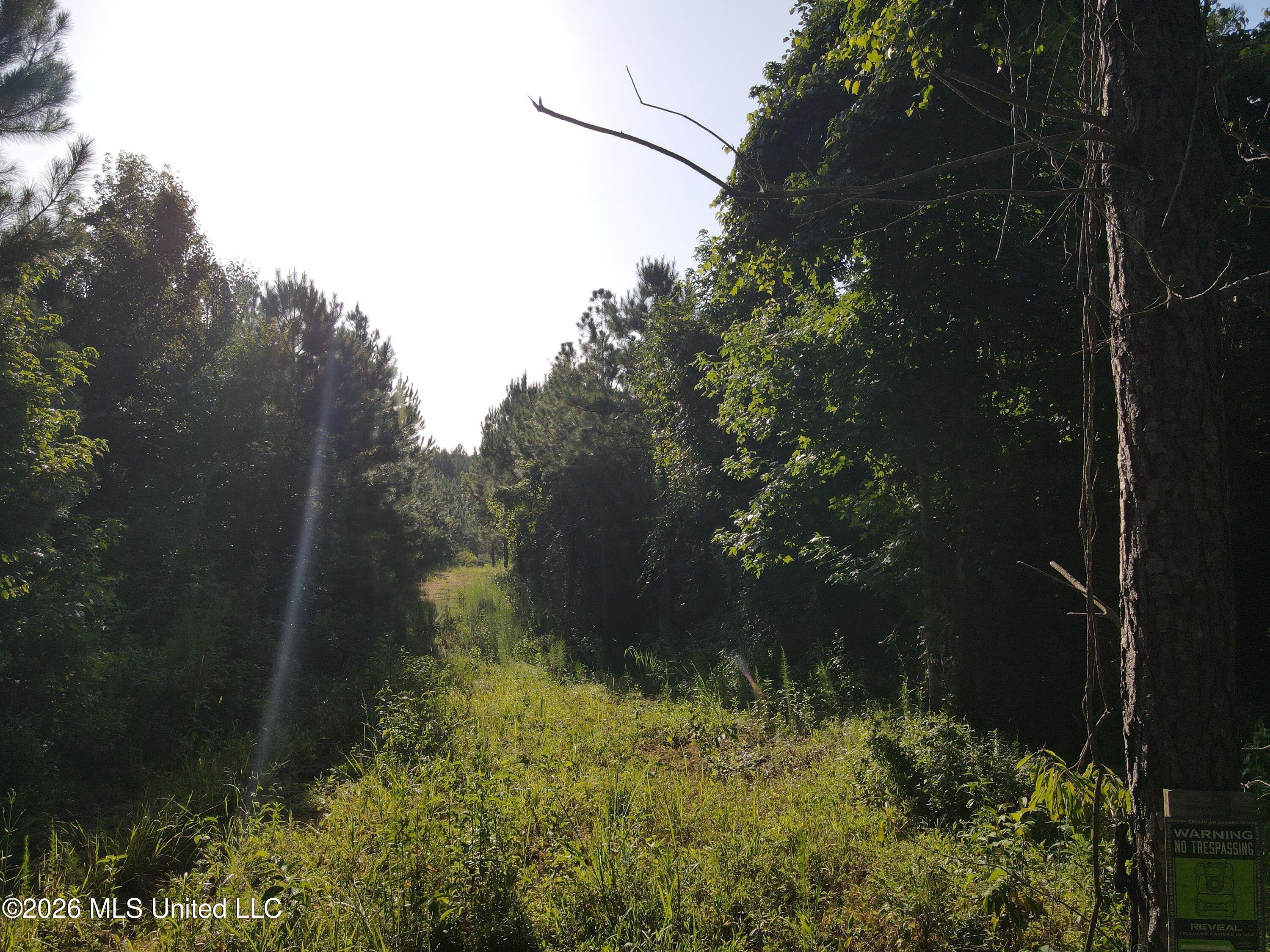 Cupit Road Property Photo 37