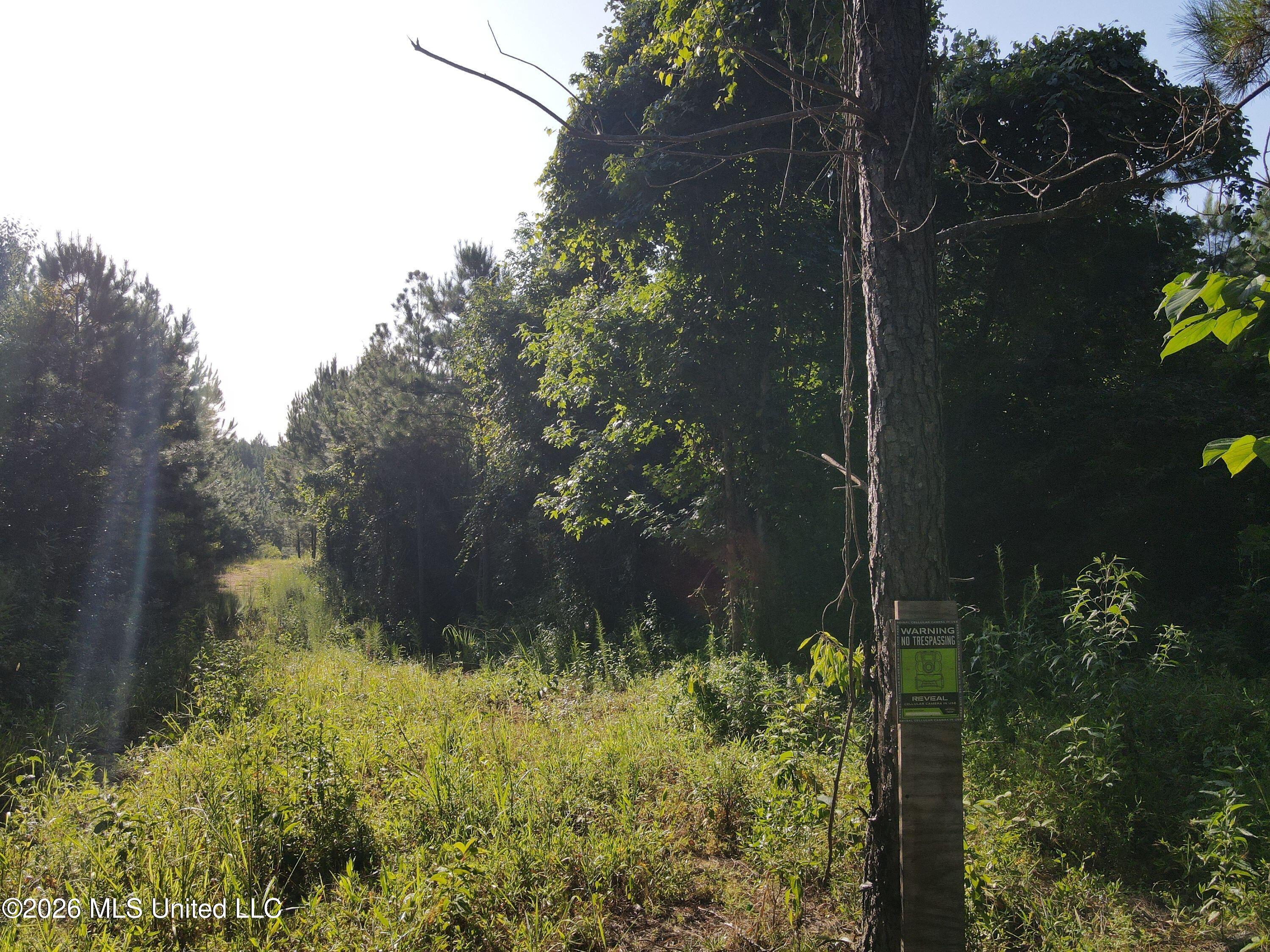 Cupit Road Property Photo 38