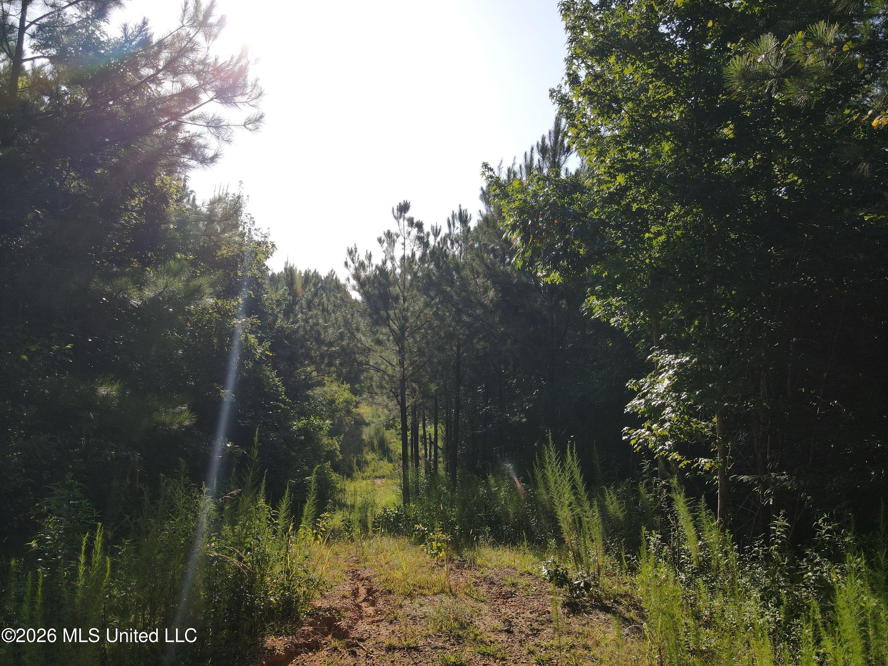 Cupit Road Property Photo 39