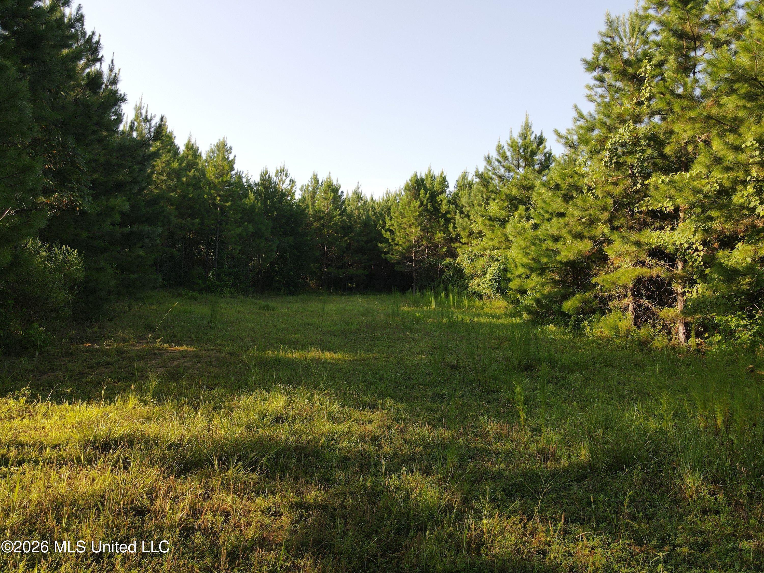 Cupit Road Property Photo 41