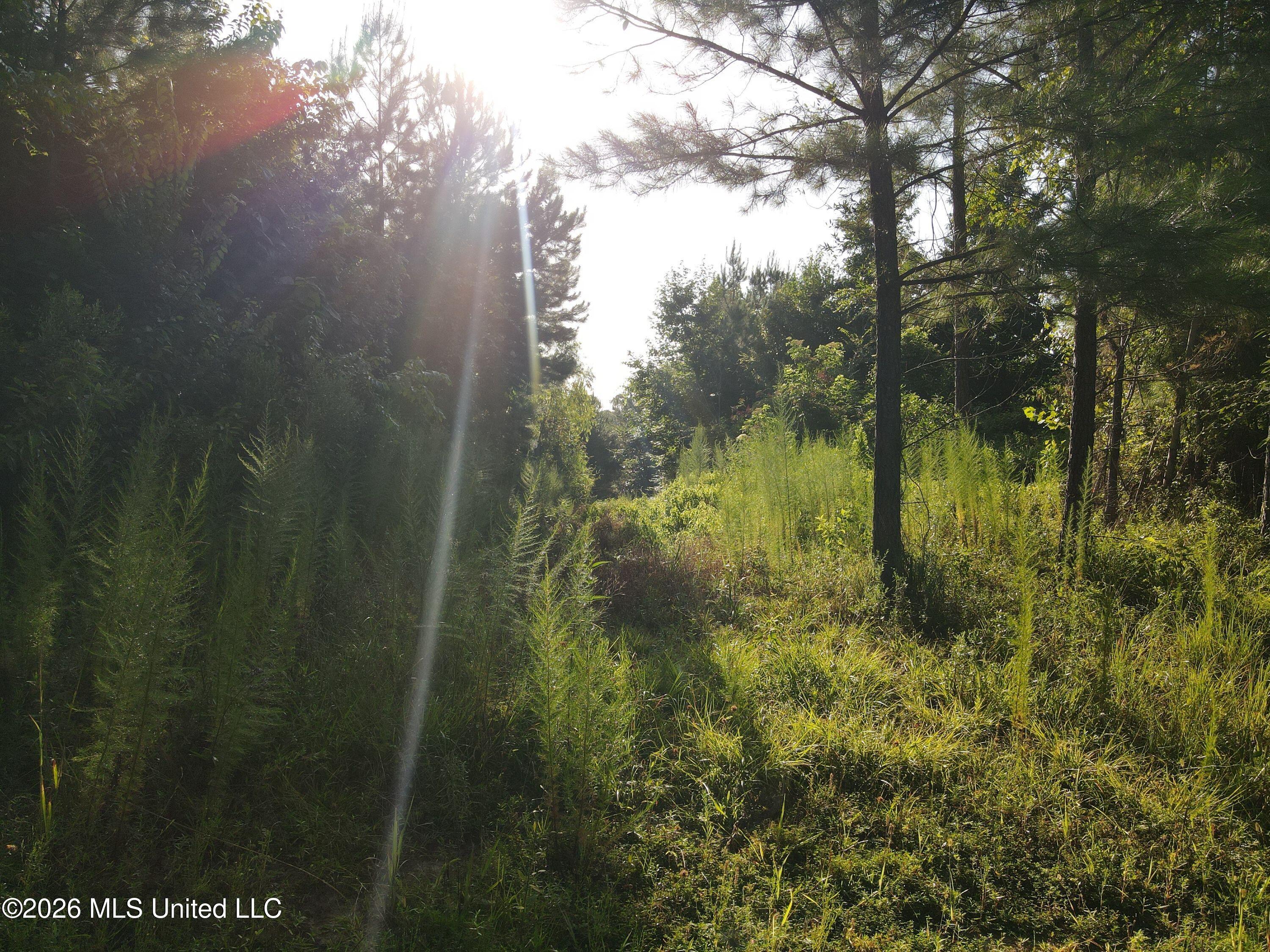 Cupit Road Property Photo 42