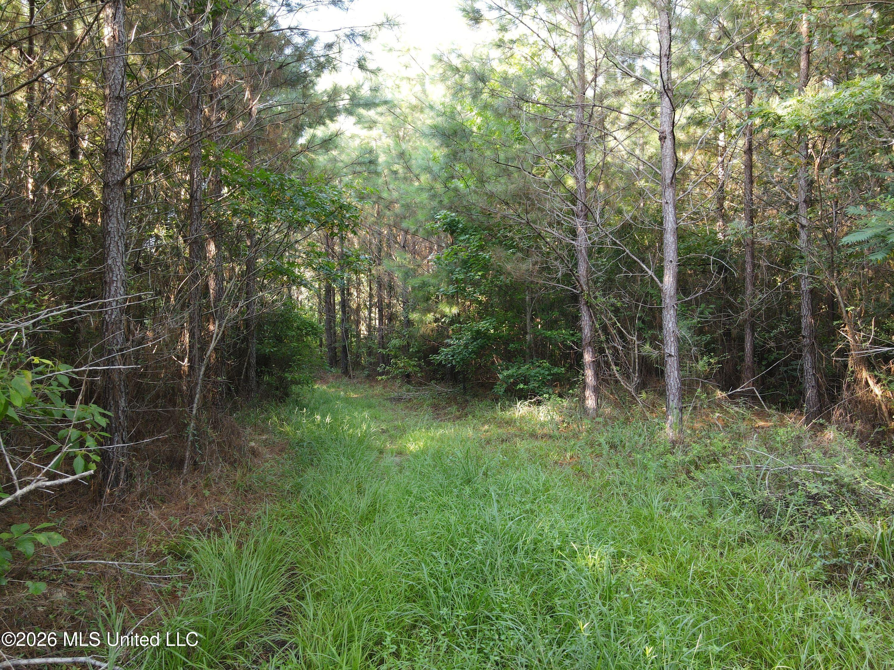 Cupit Road Property Photo 43