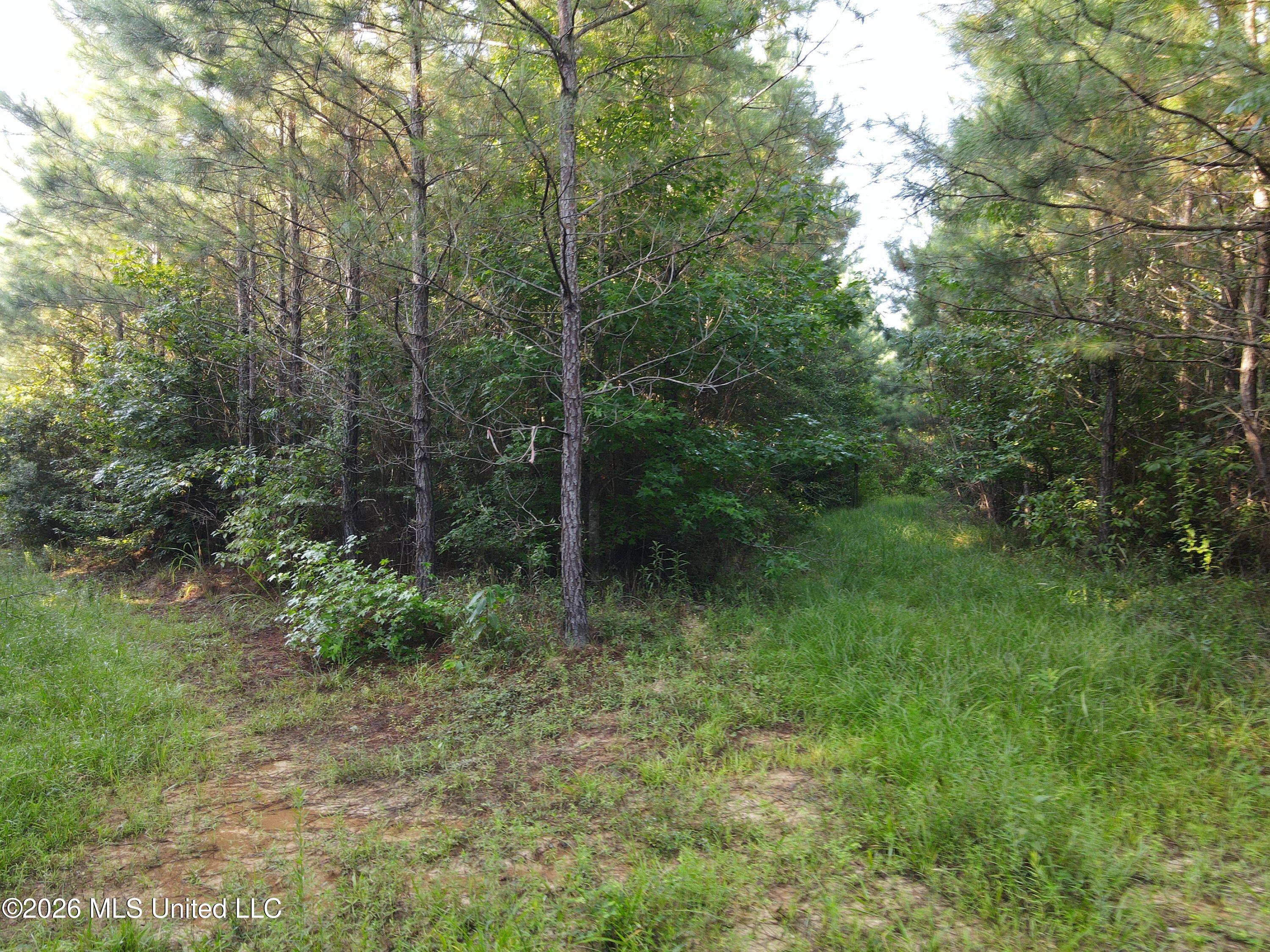 Cupit Road Property Photo 45