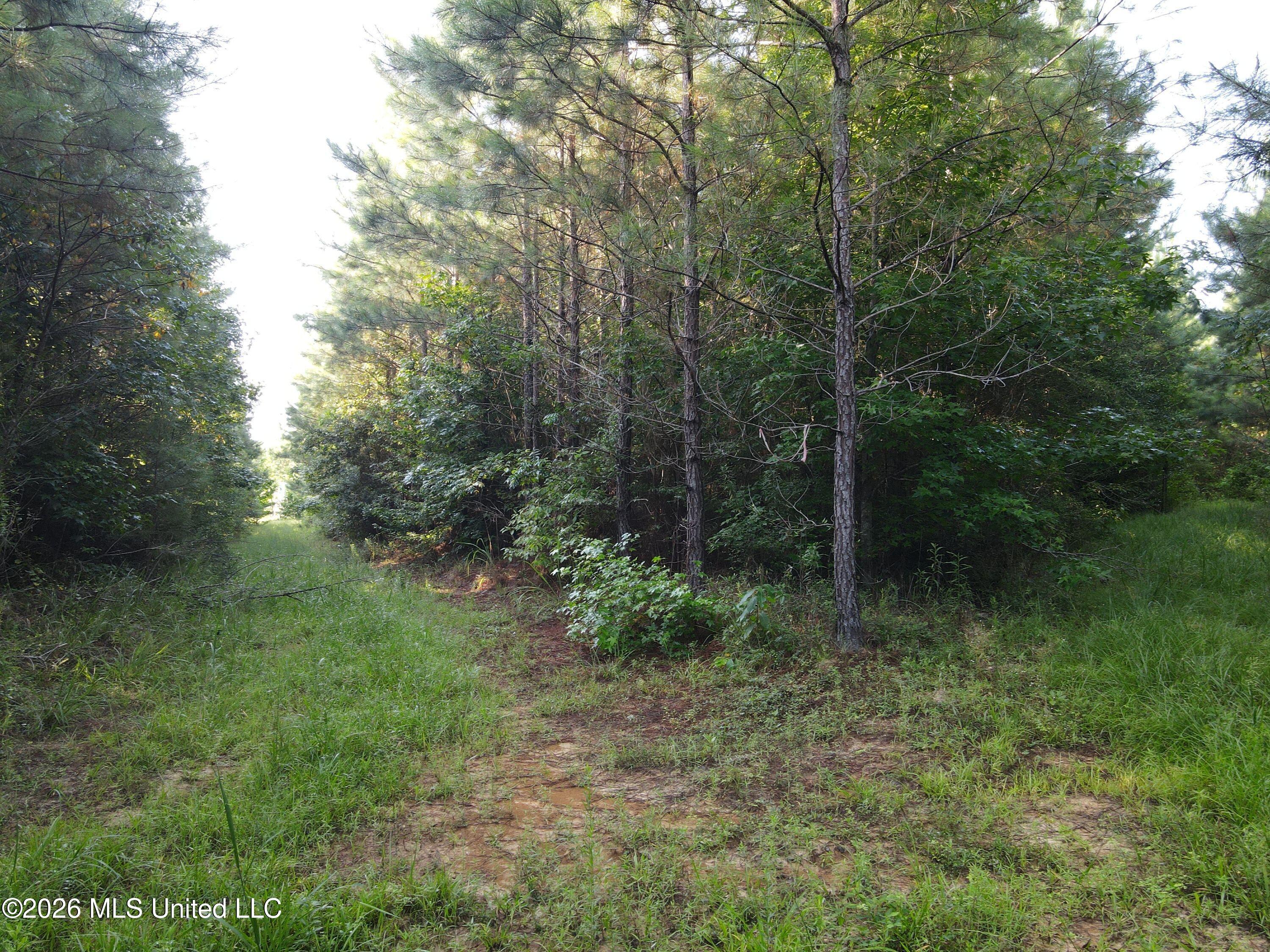 Cupit Road Property Photo 46
