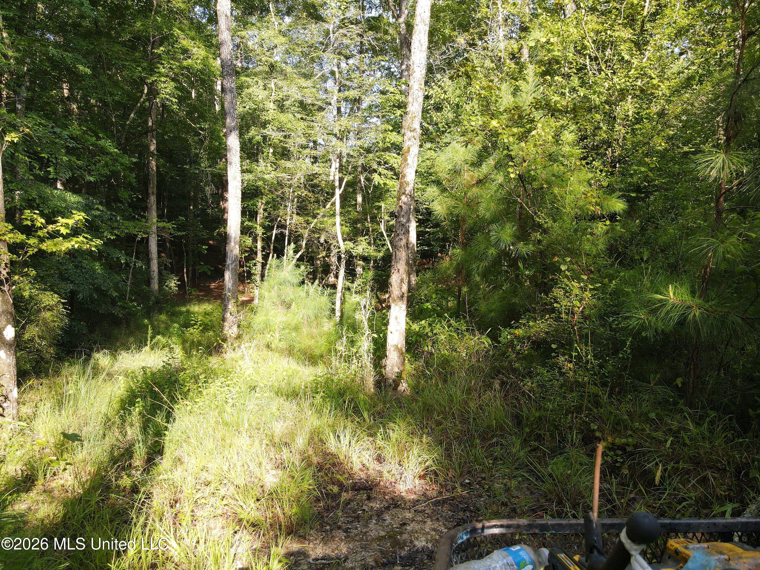 Cupit Road Property Photo 48