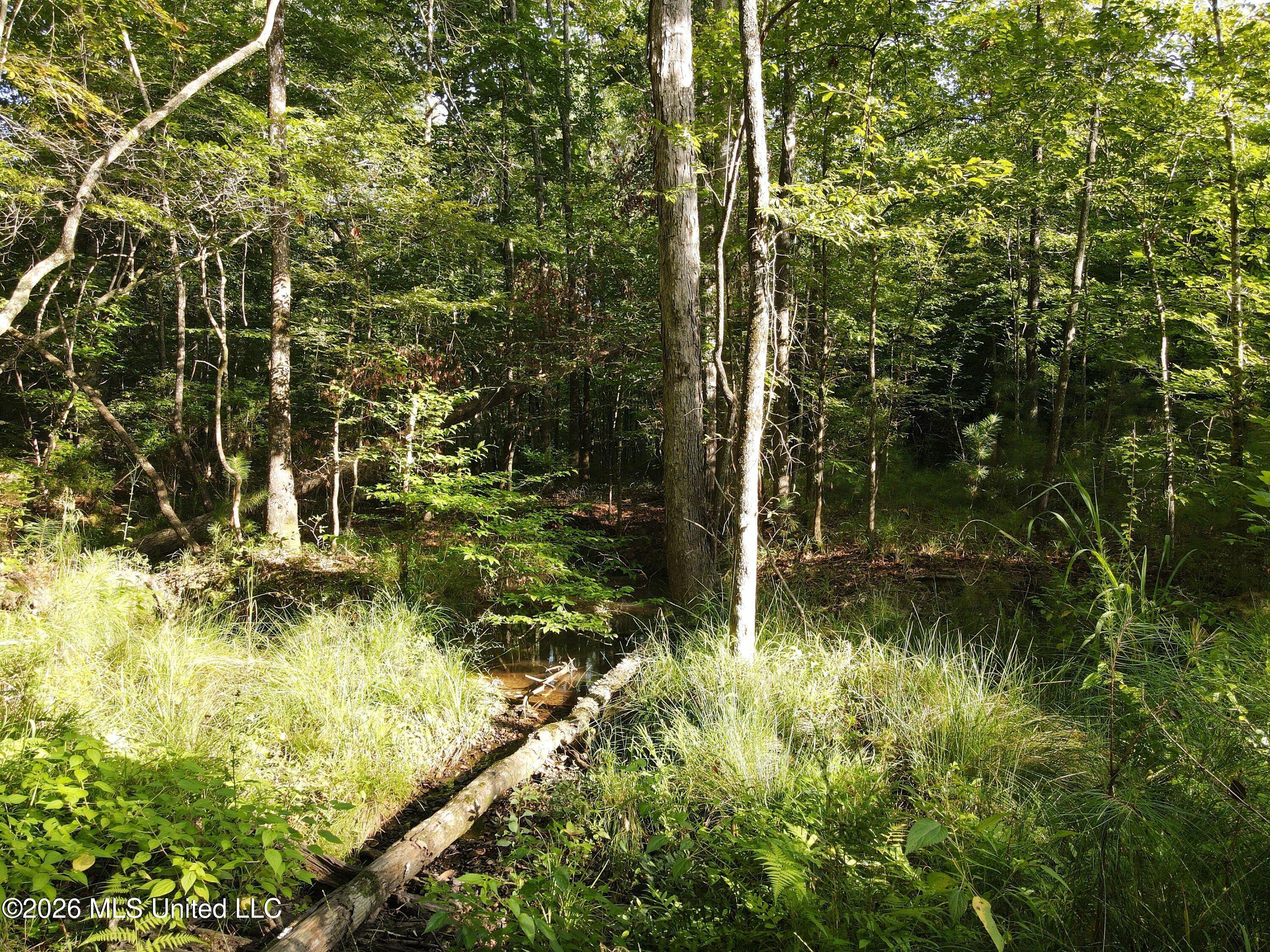 Cupit Road Property Photo 49