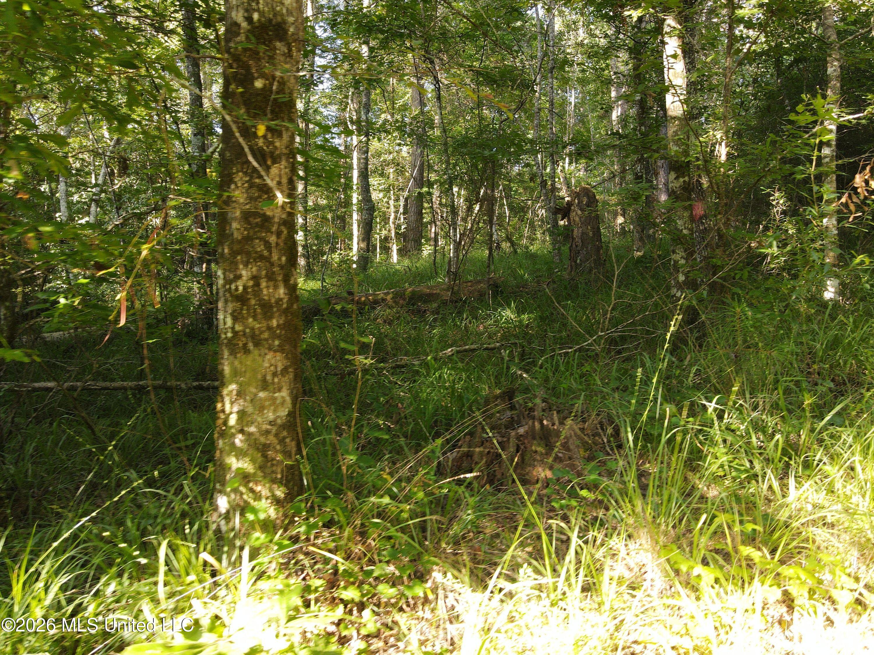 Cupit Road Property Photo 50