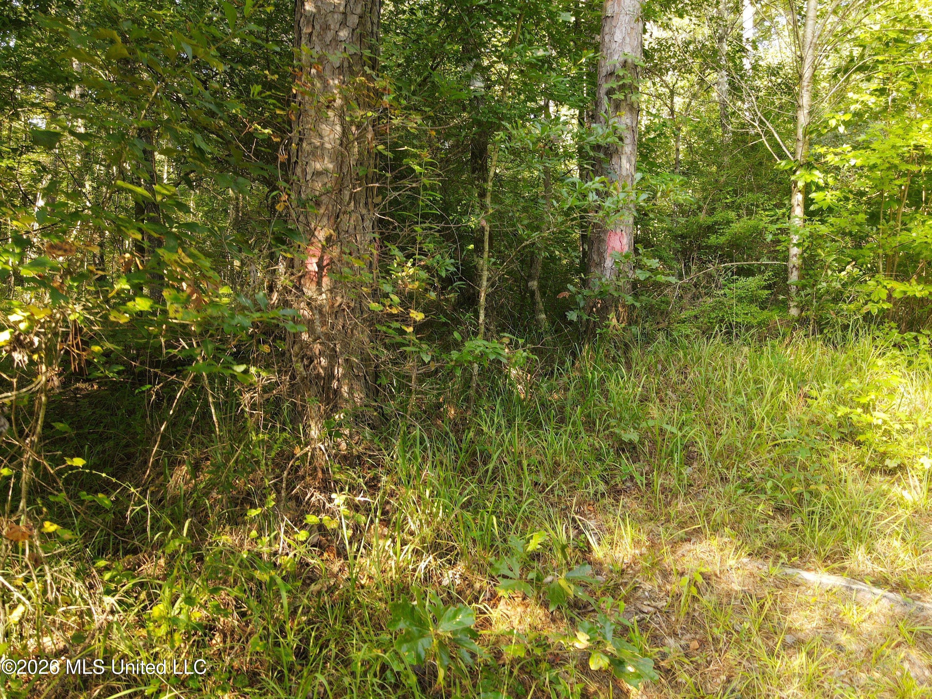 Cupit Road Property Photo 51