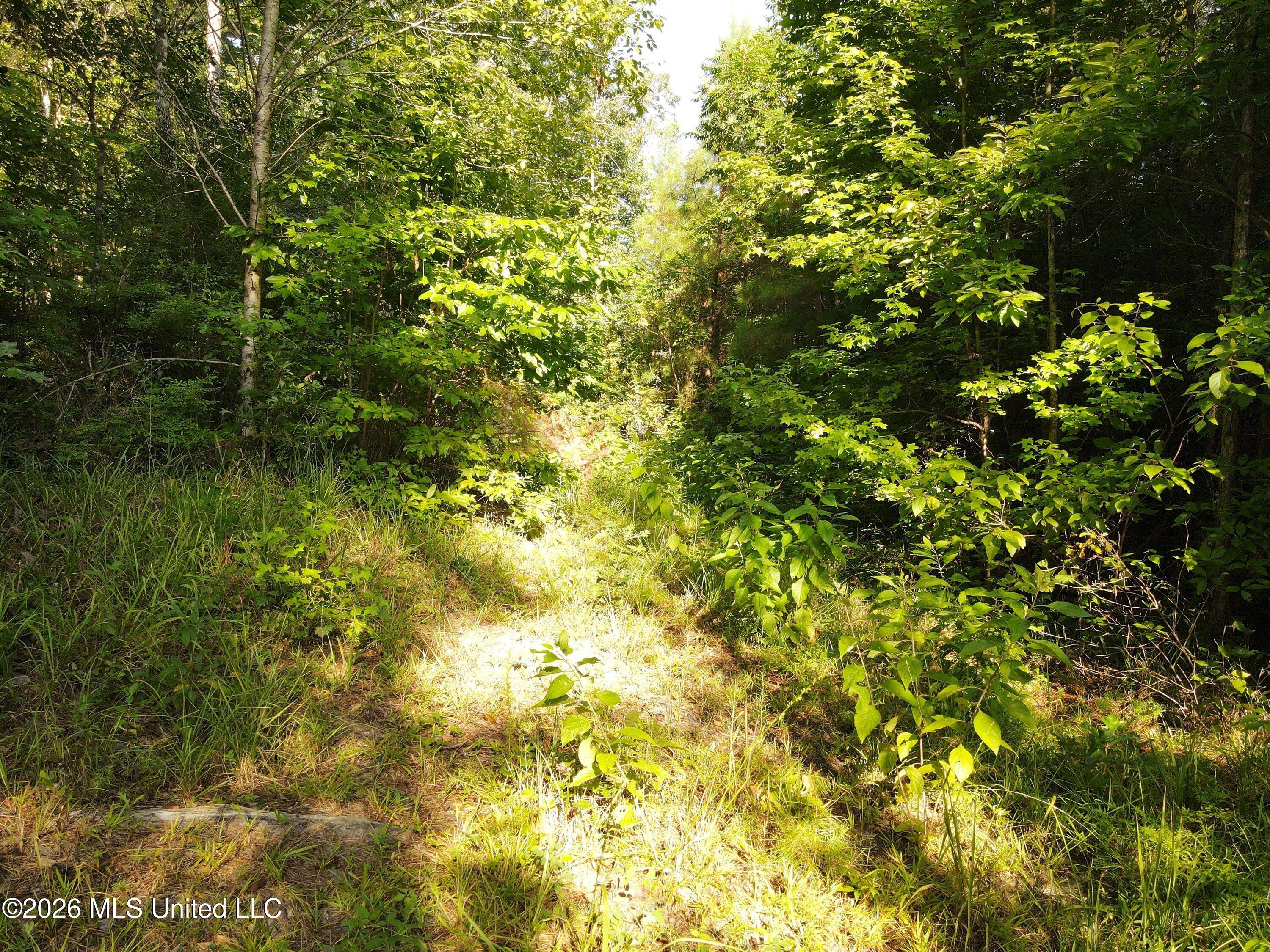 Cupit Road Property Photo 52