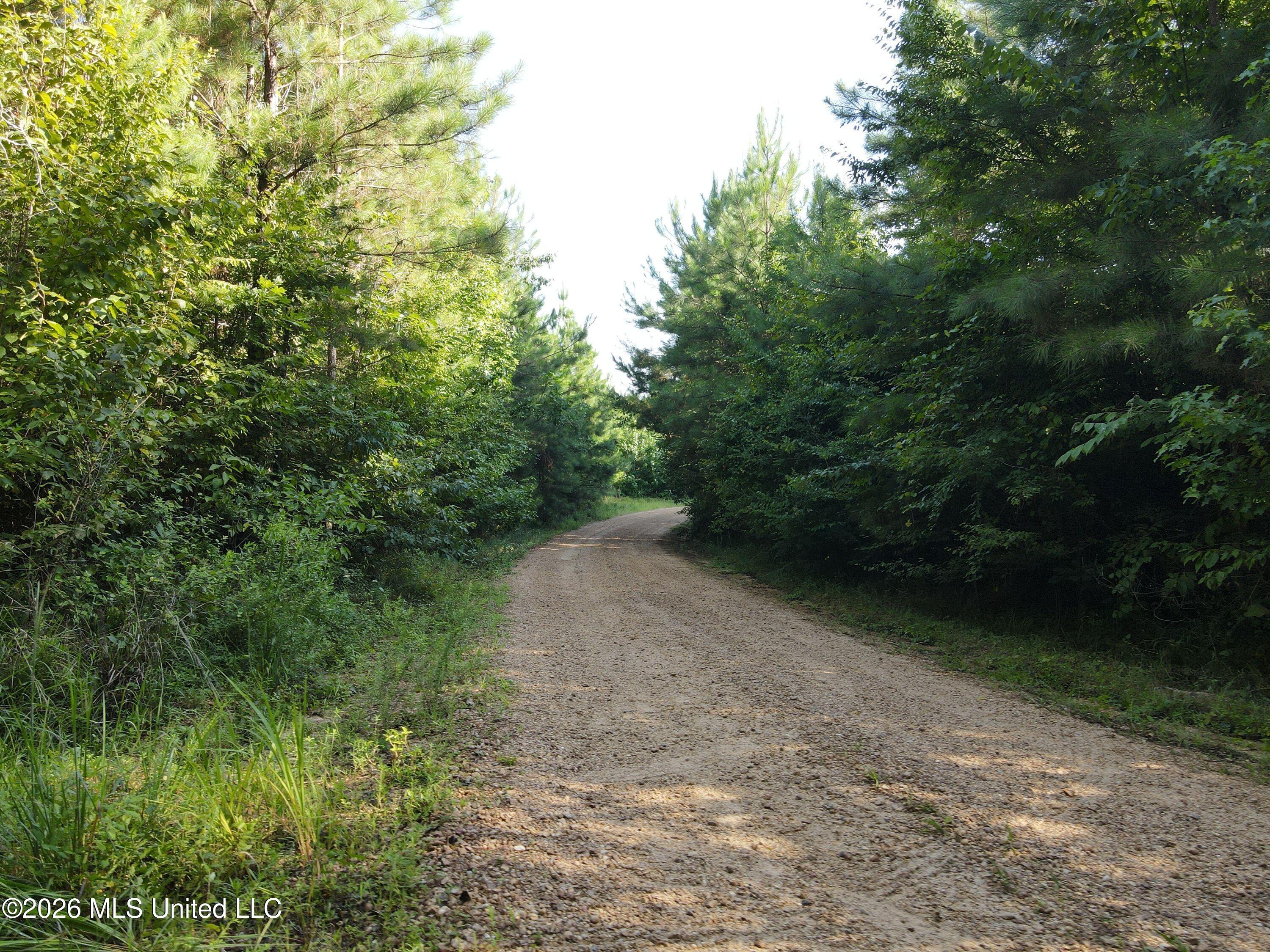 Cupit Road Property Photo 53