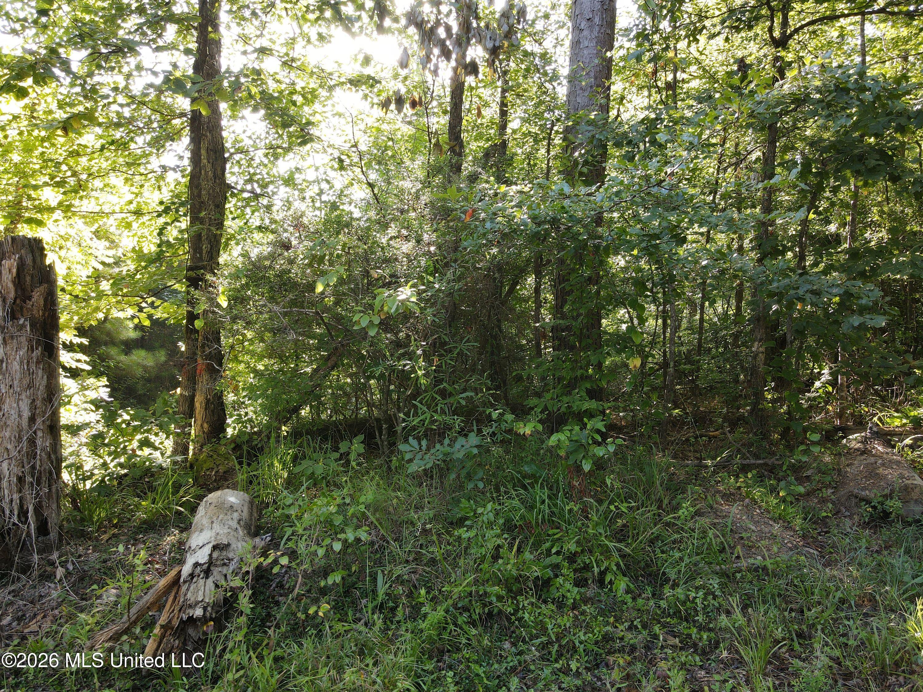 Cupit Road Property Photo 55