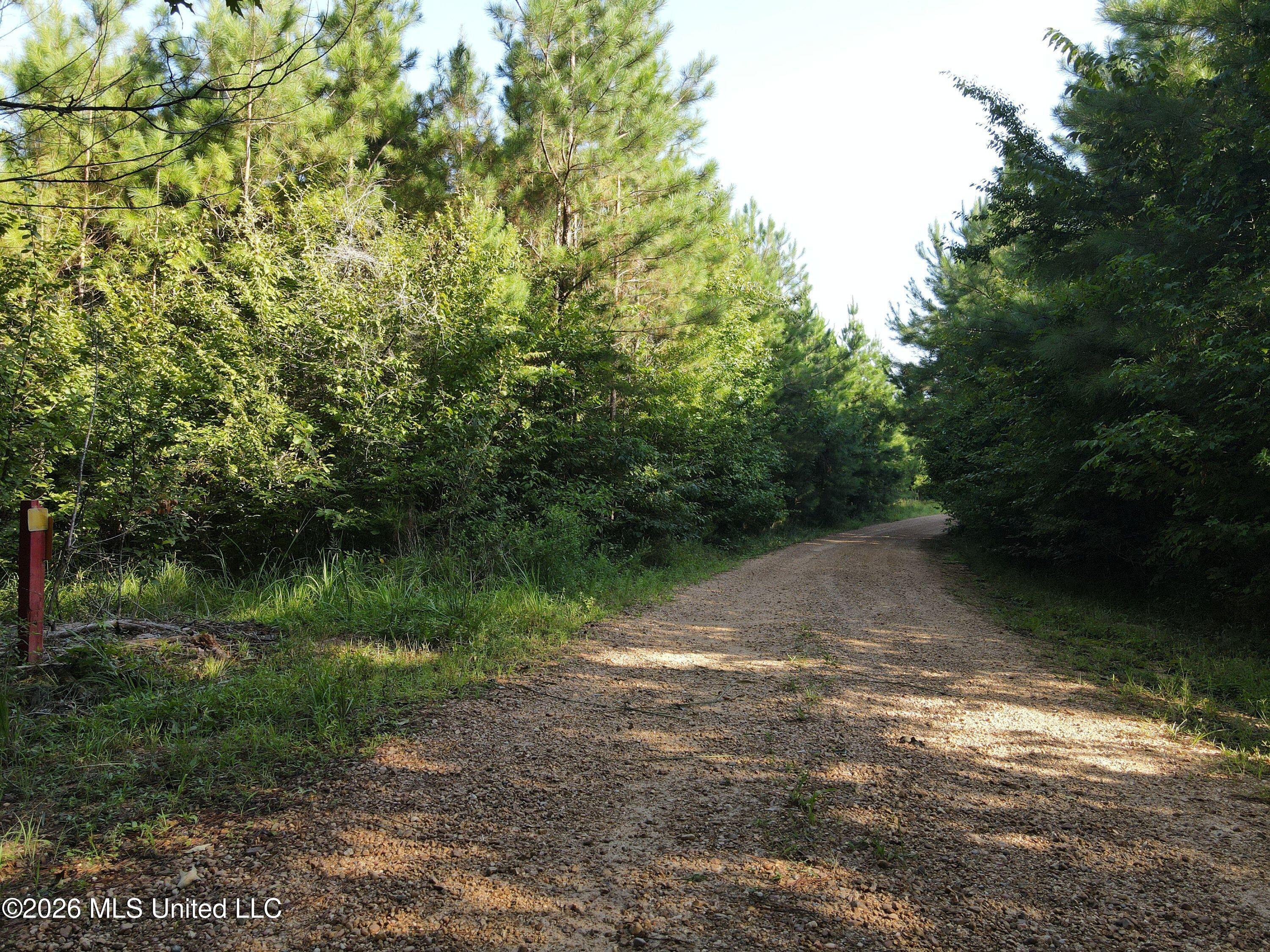 Cupit Road Property Photo 56