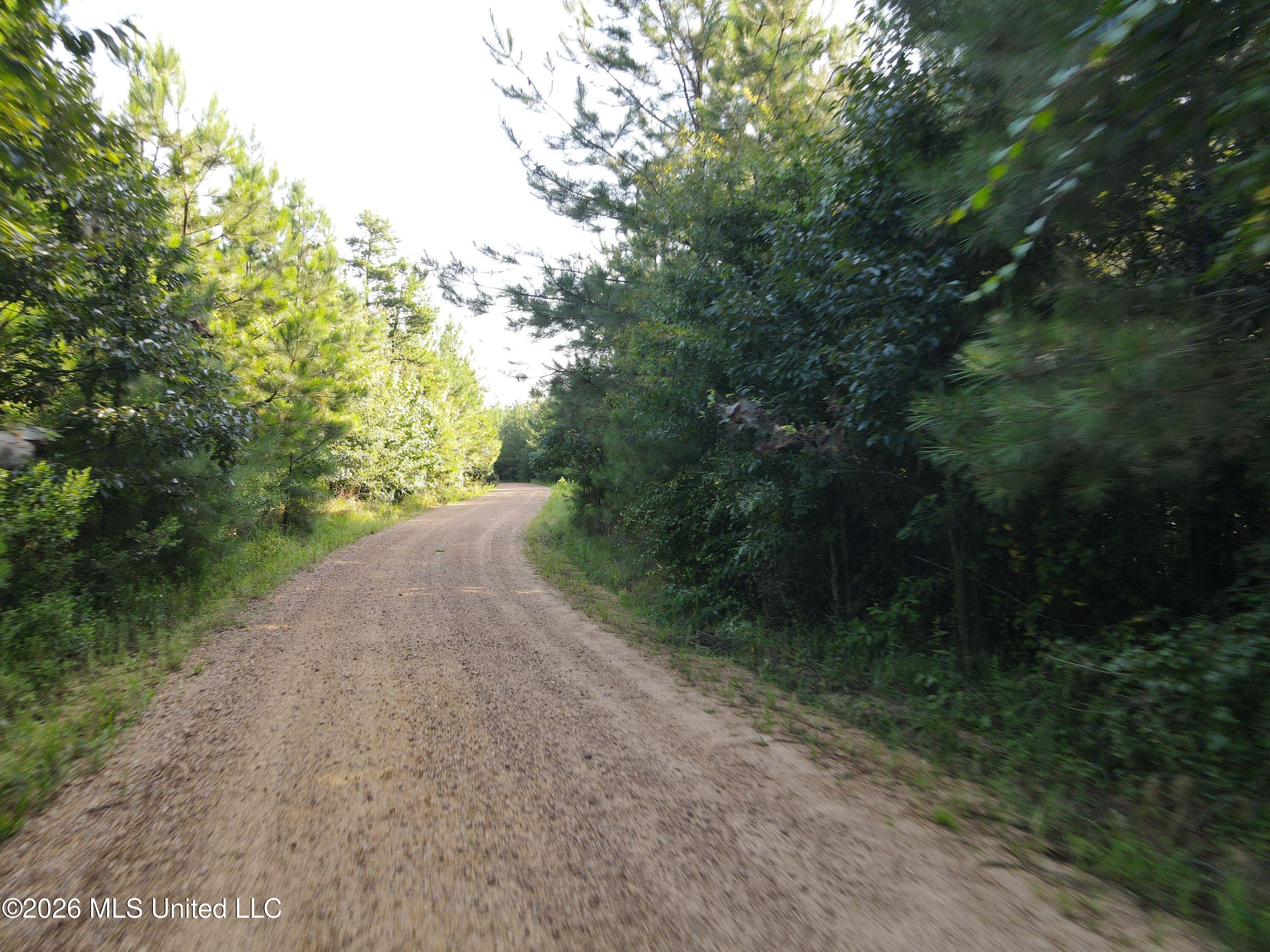 Cupit Road Property Photo 57