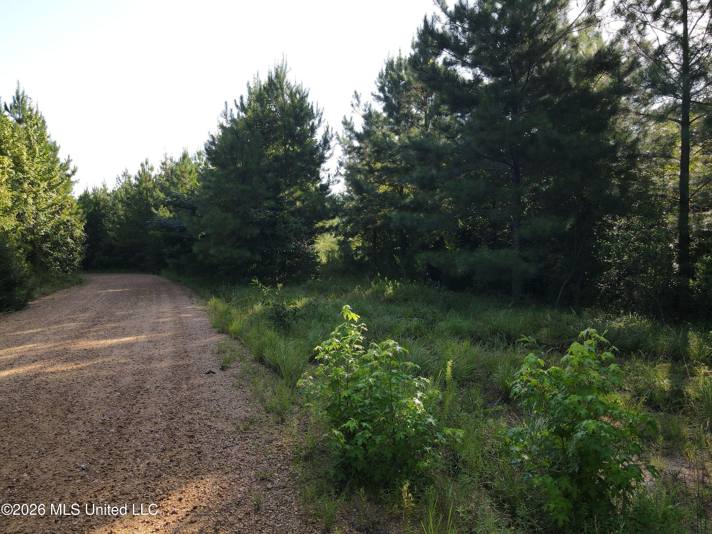 Cupit Road Property Photo 58