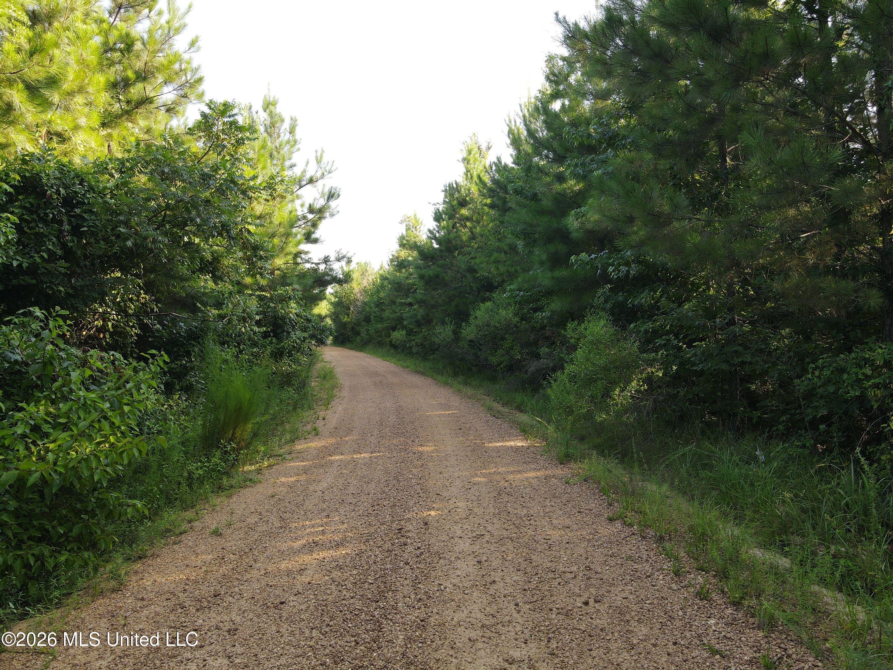 Cupit Road Property Photo 59