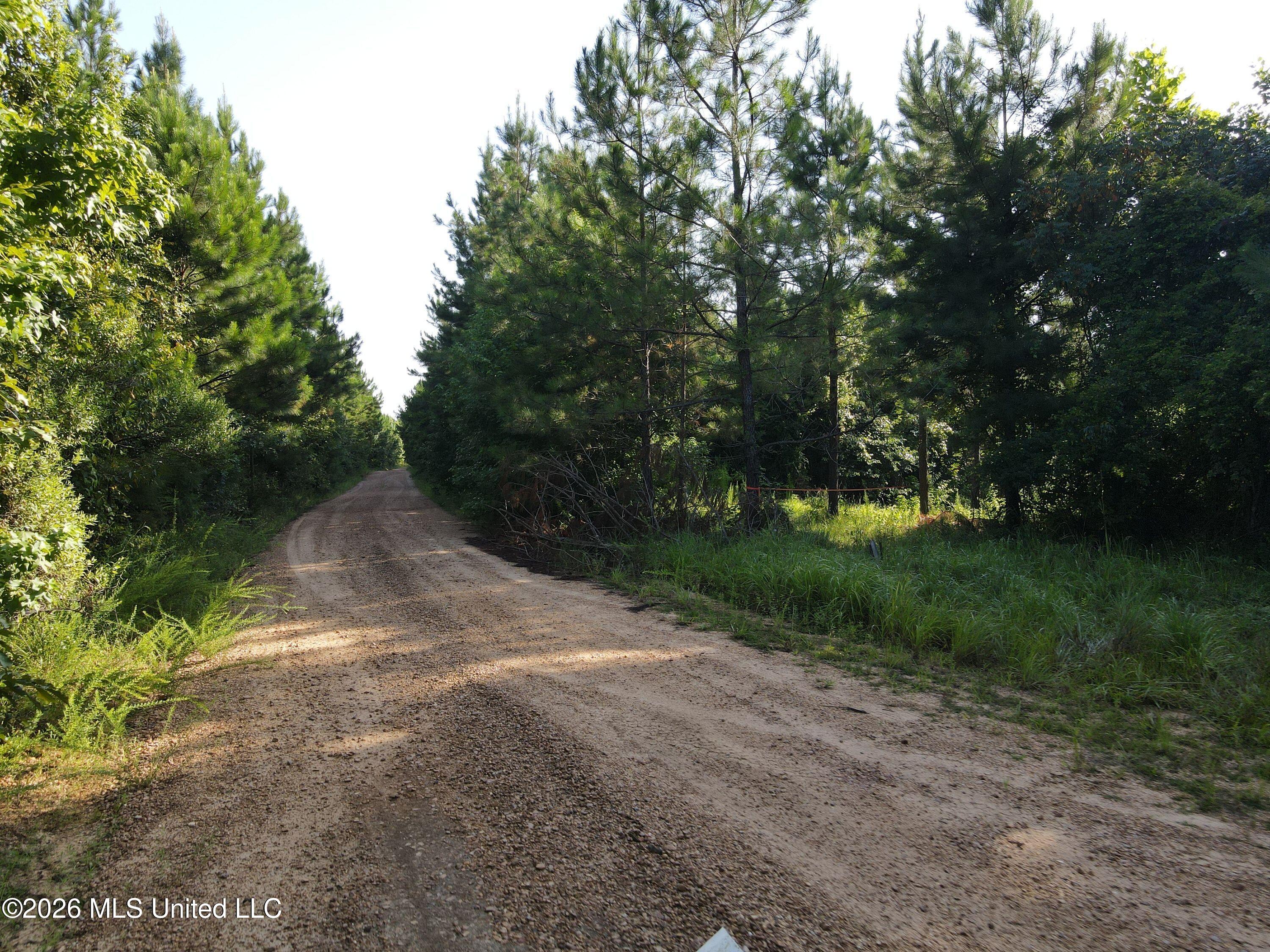 Cupit Road Property Photo 60